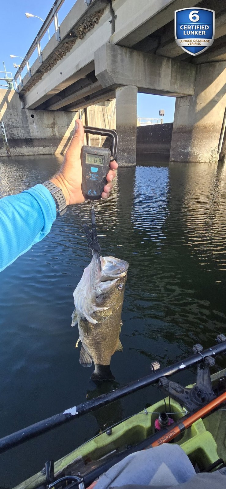 Largemouth Bass catch photo 2