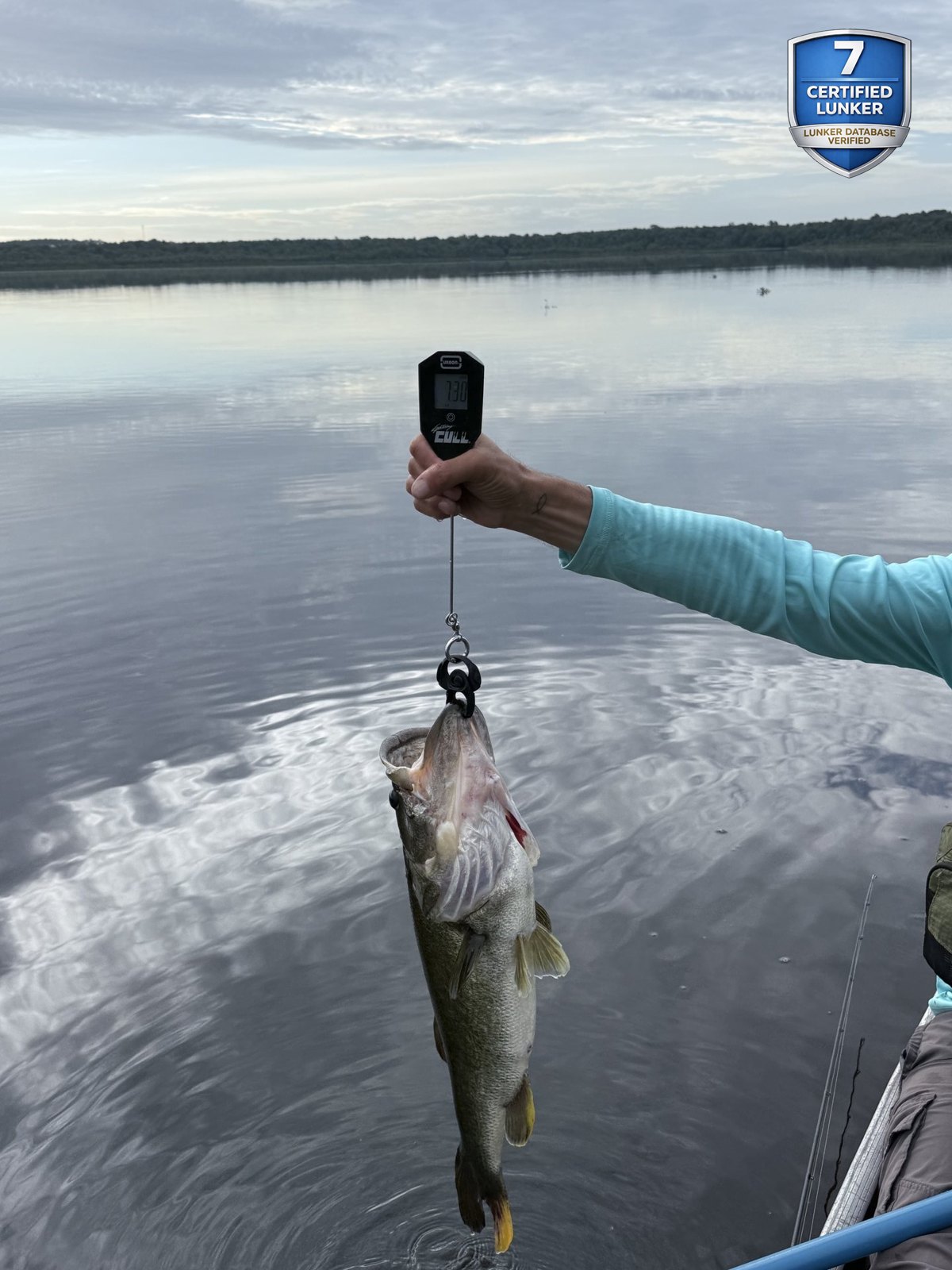 Largemouth Bass catch photo 2