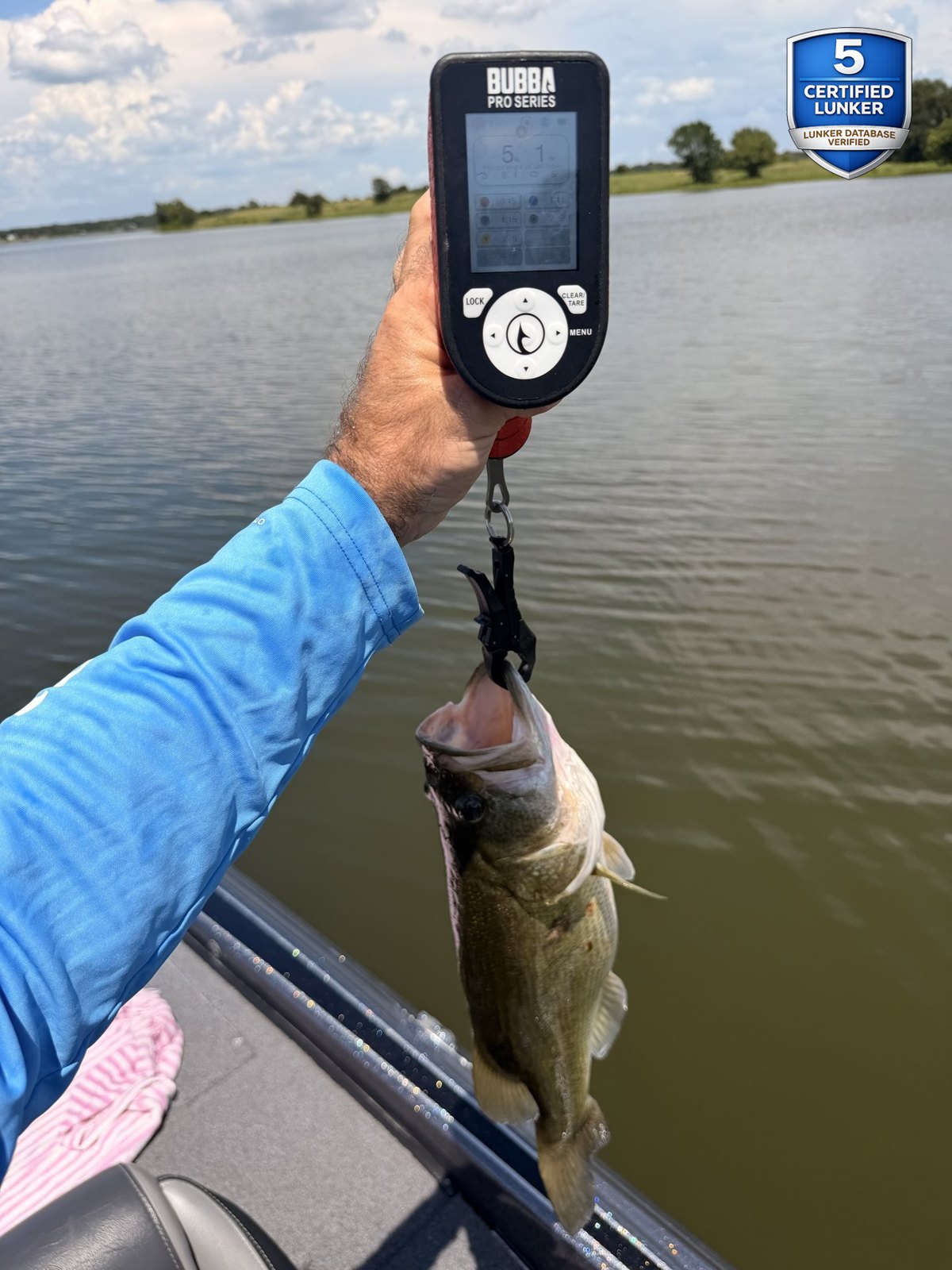 Largemouth Bass catch photo 2