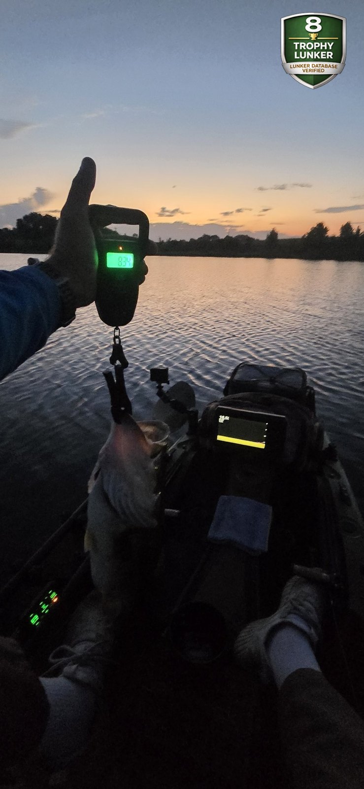 Largemouth Bass catch photo 2