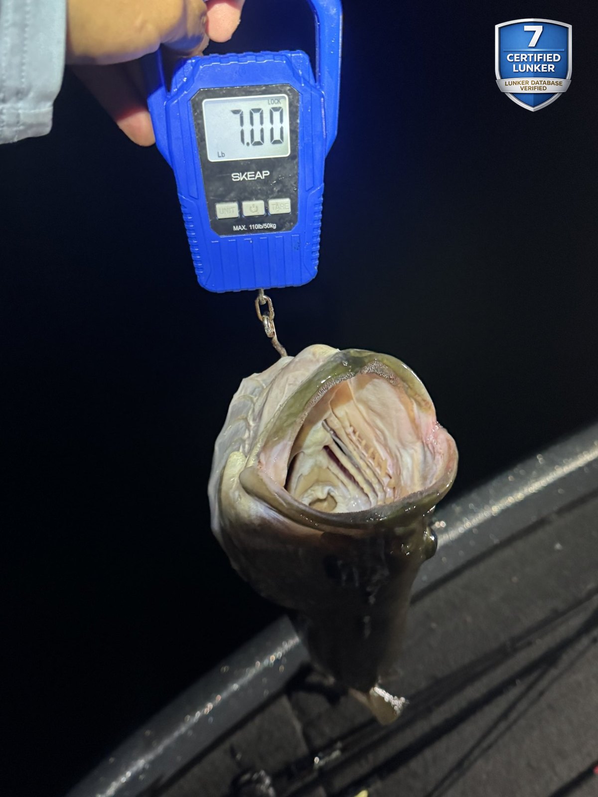 Largemouth Bass catch photo 2