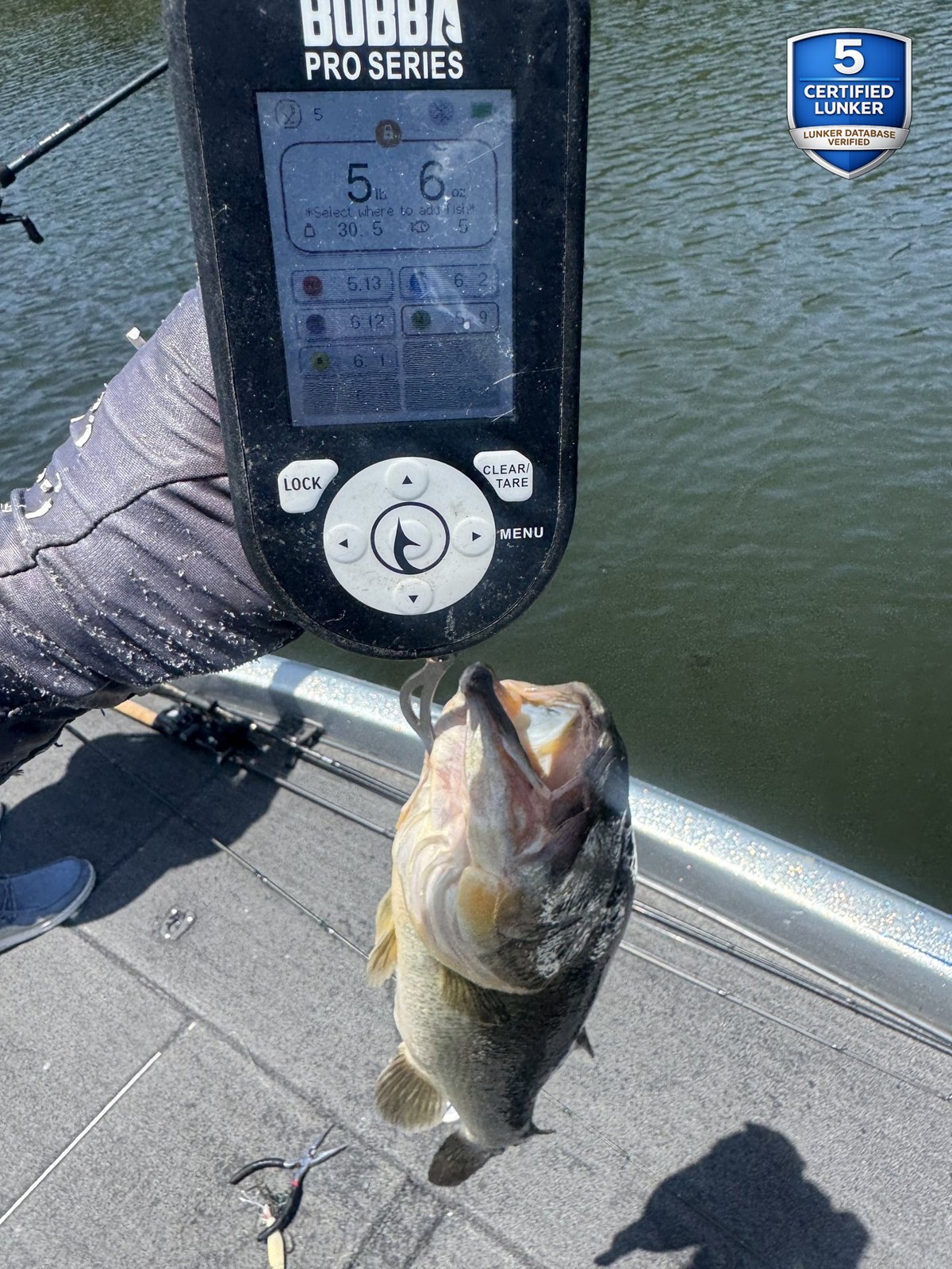 Largemouth Bass catch photo 2