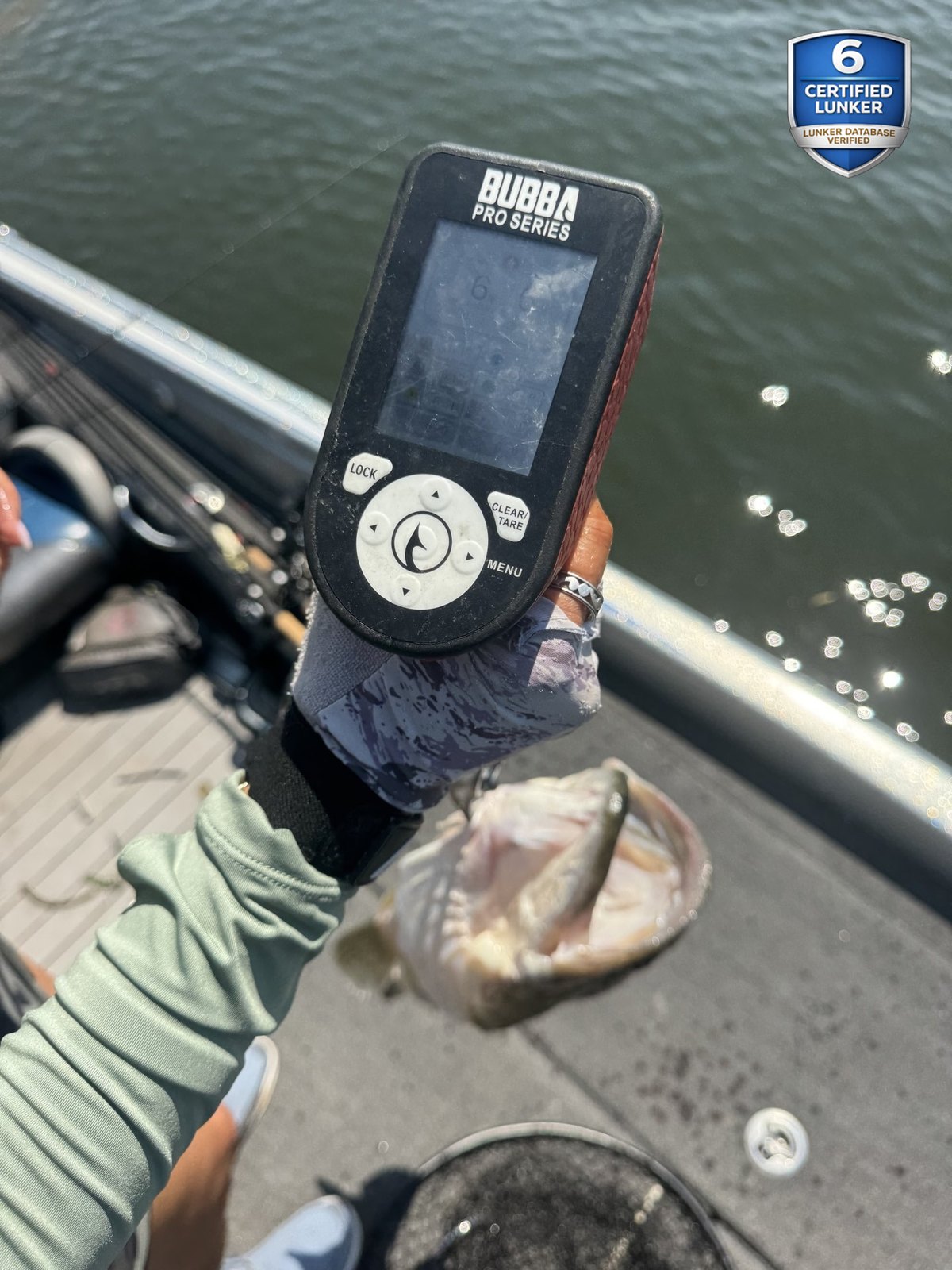 Largemouth Bass catch photo 2