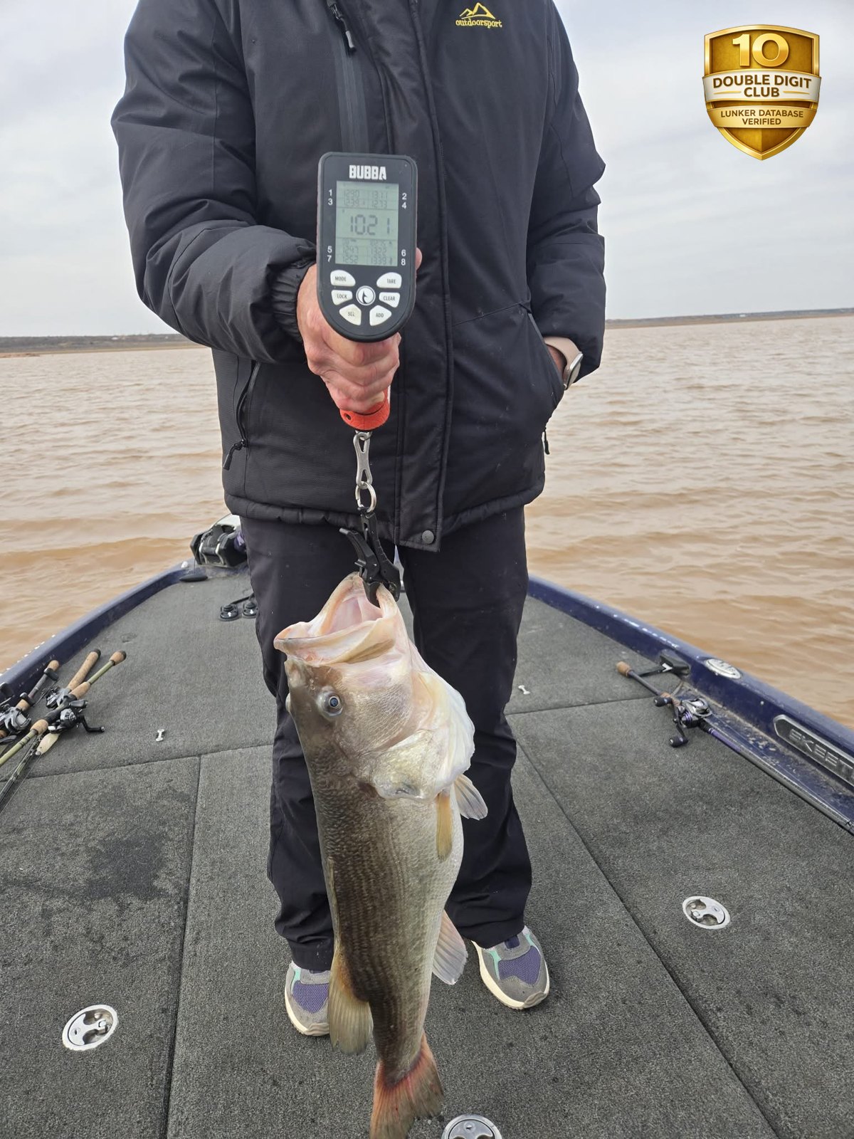 Largemouth Bass catch photo 2