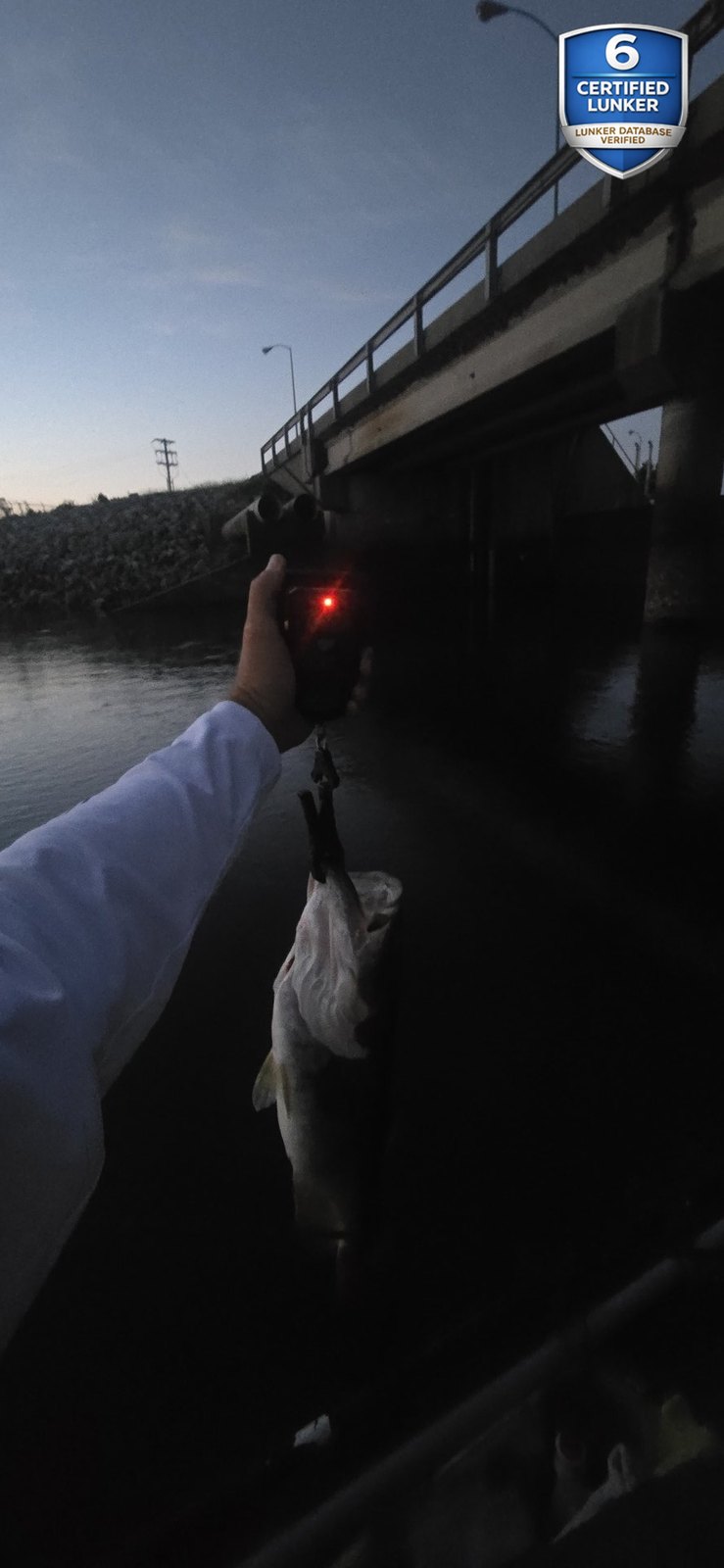 Largemouth Bass catch photo 2