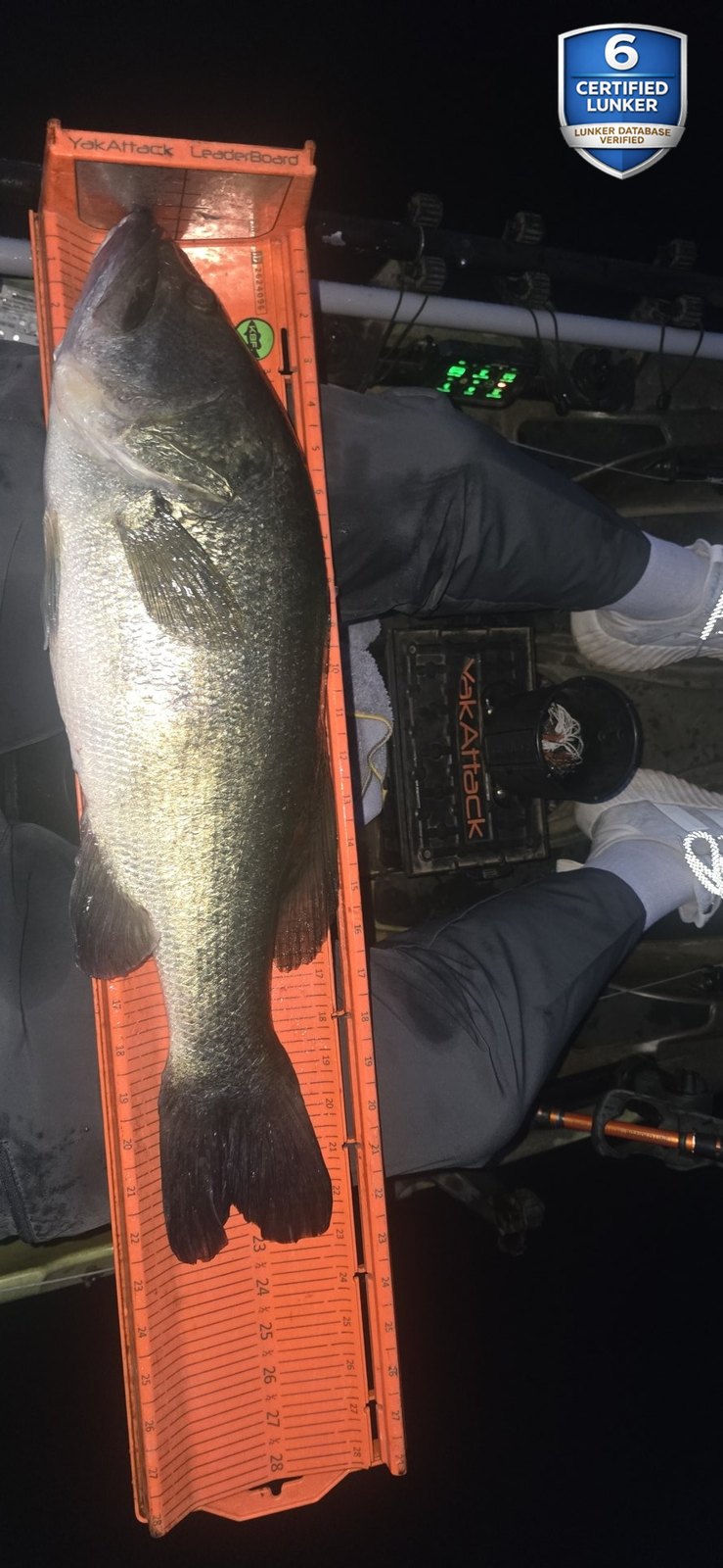 Largemouth Bass catch photo 3