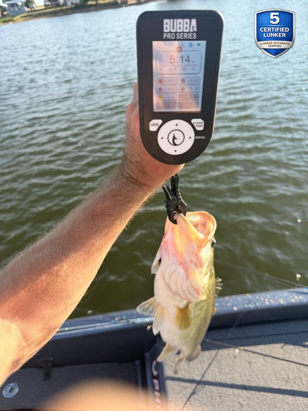 Largemouth Bass catch photo 2