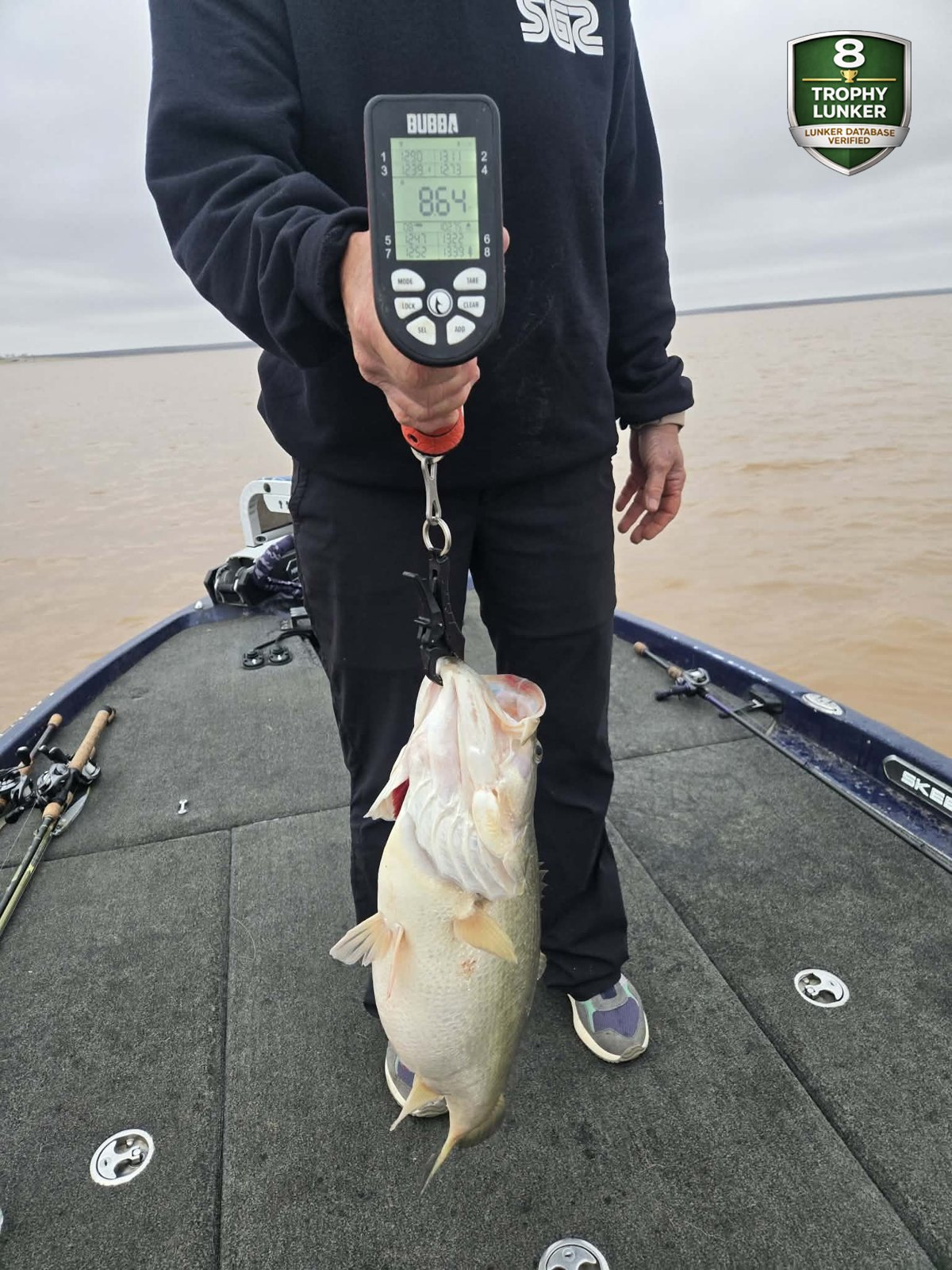 Largemouth Bass catch photo 2