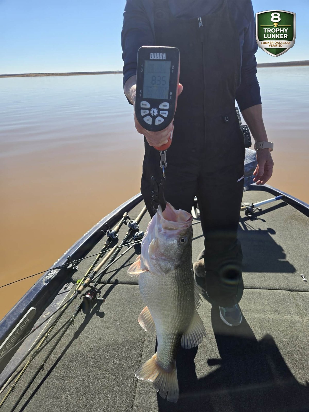 Largemouth Bass catch photo 2