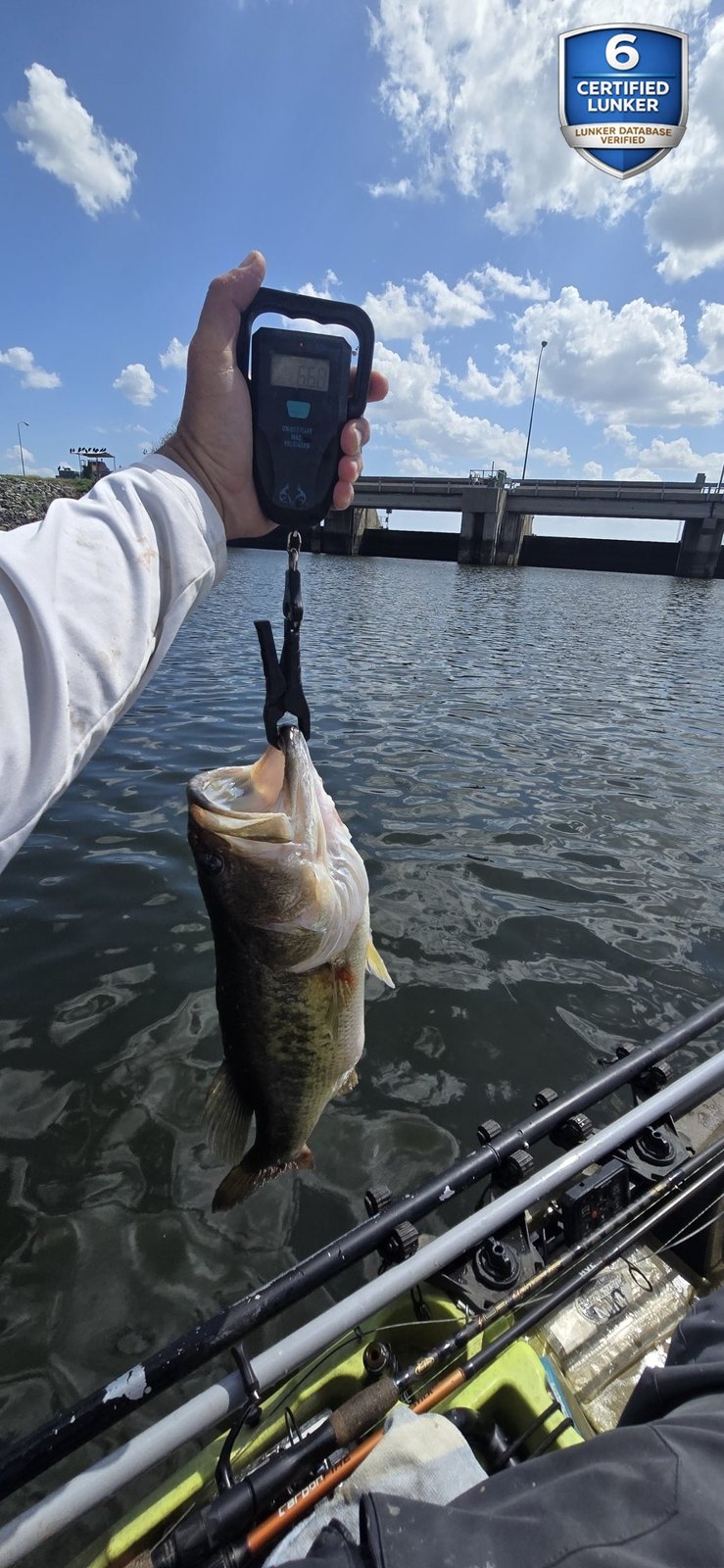 Largemouth Bass catch photo 2