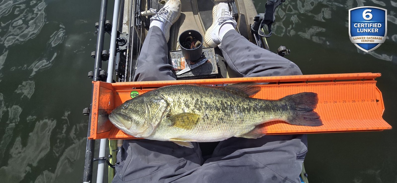 Largemouth Bass catch photo 3