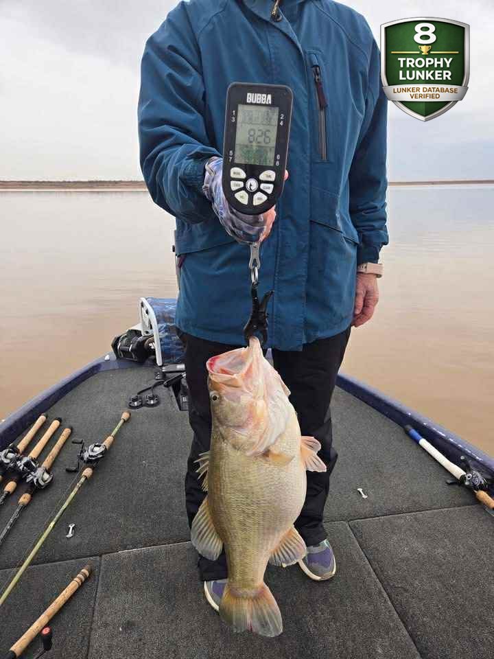 Largemouth Bass catch photo 2