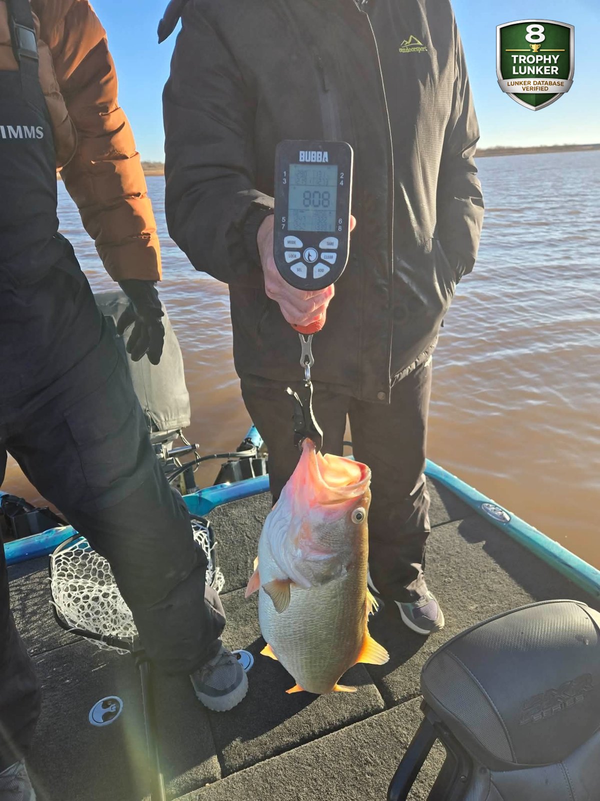 Largemouth Bass catch photo 2