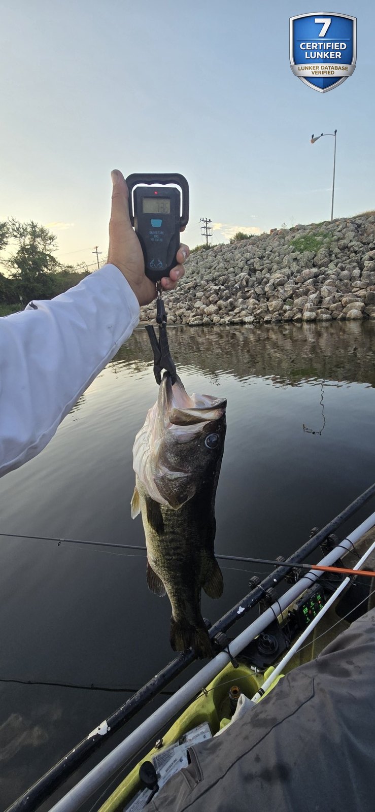 Largemouth Bass catch photo 2