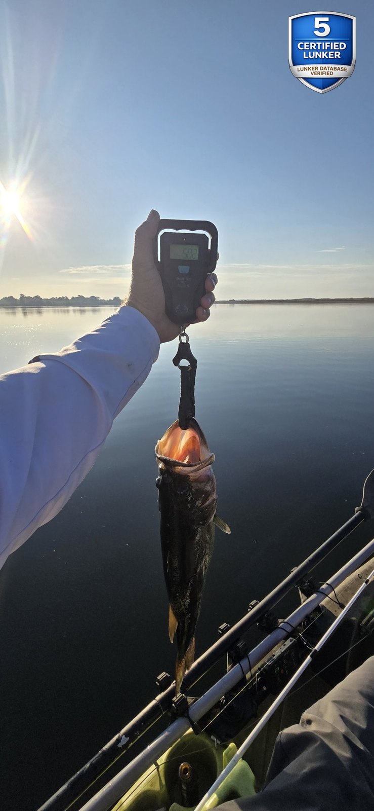 Largemouth Bass catch photo 2