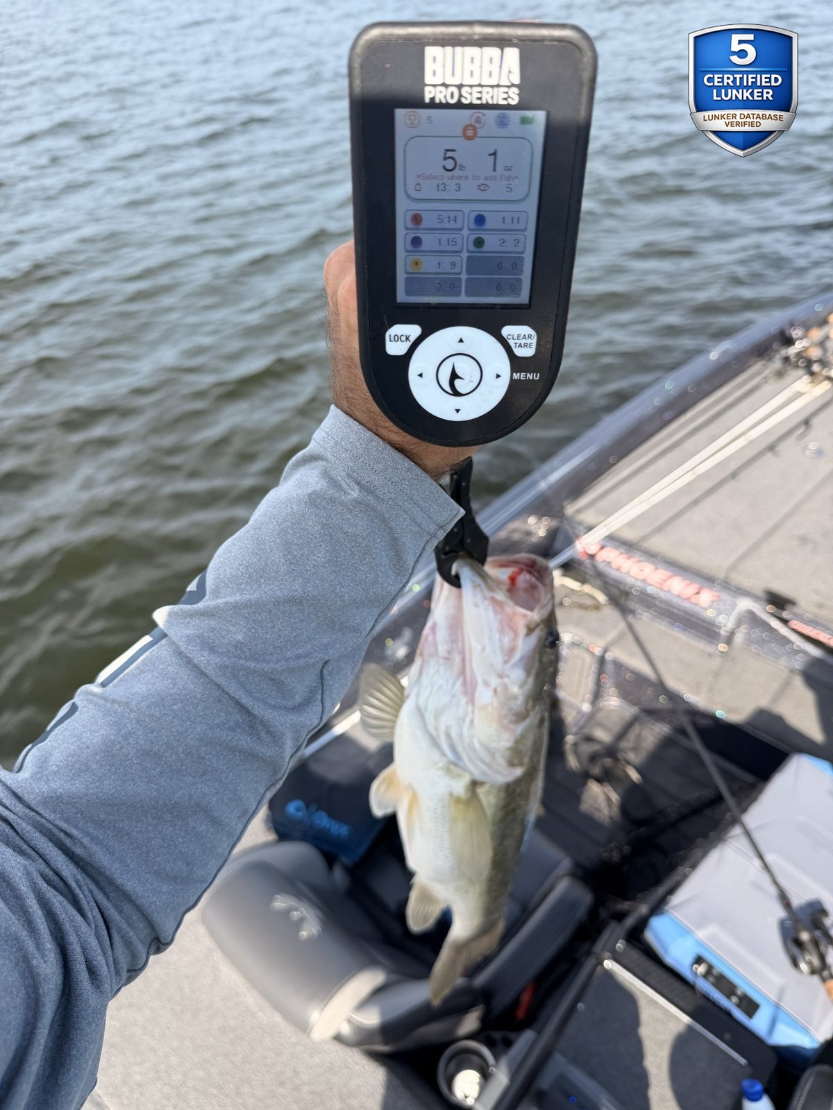 Largemouth Bass catch photo 2