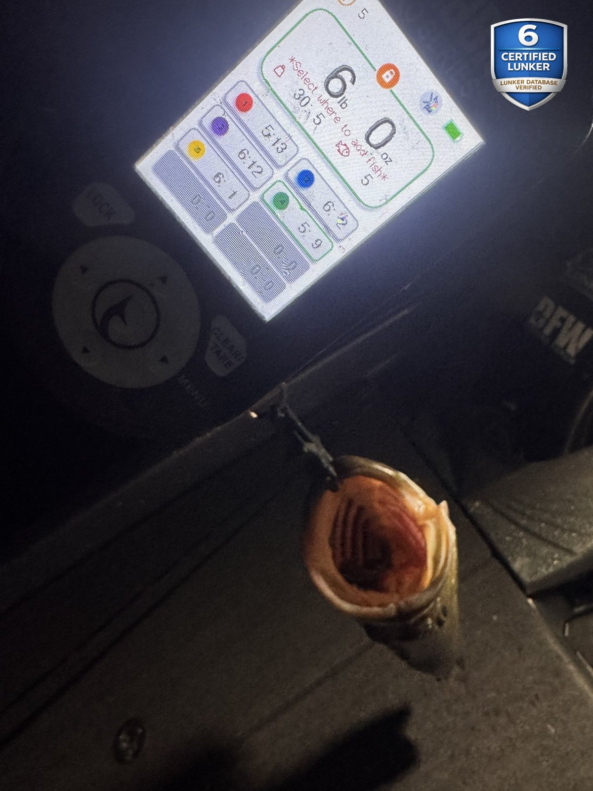 Largemouth Bass catch photo 2