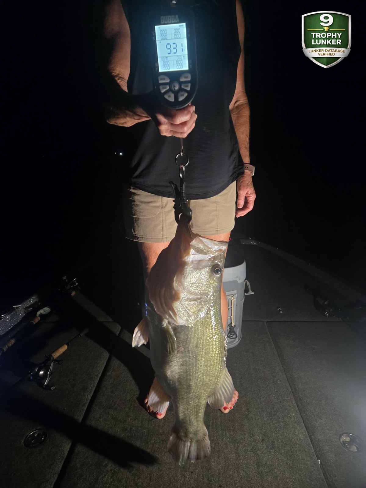 Largemouth Bass catch photo 2