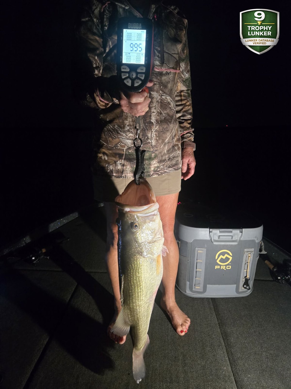 Largemouth Bass catch photo 2