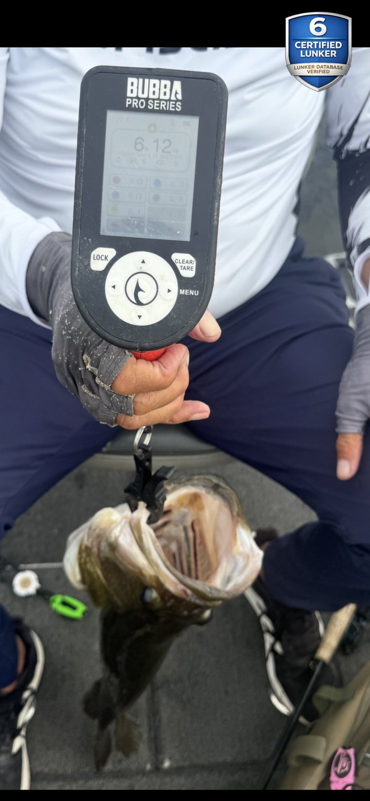 Largemouth Bass catch photo 2