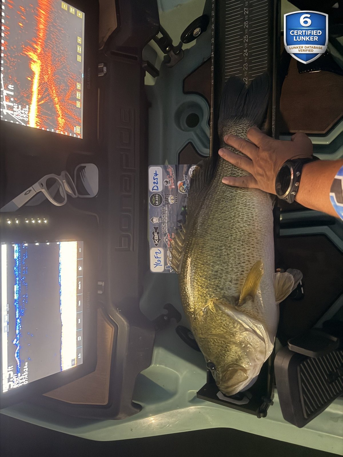 Largemouth Bass catch photo 3