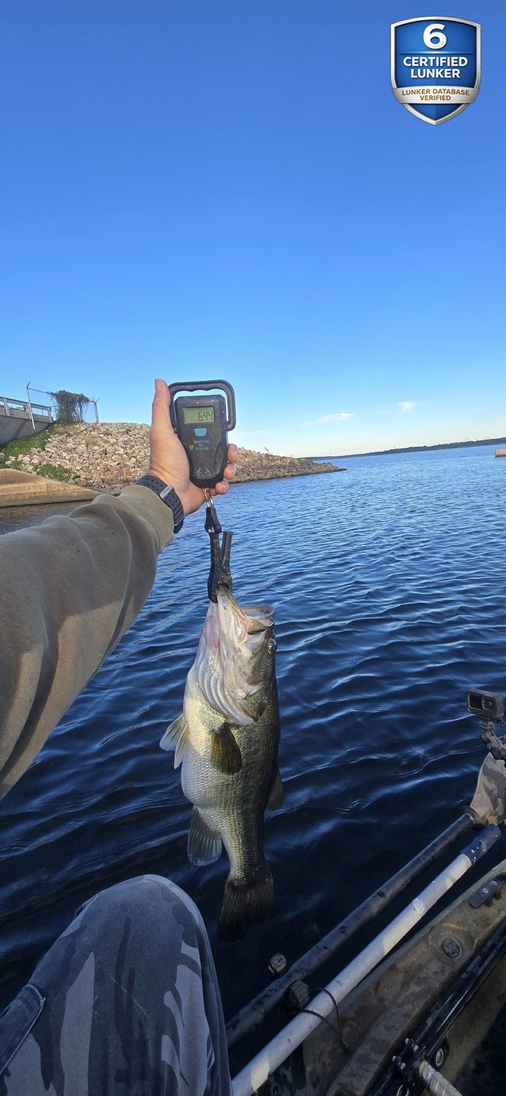 Largemouth Bass catch photo 2