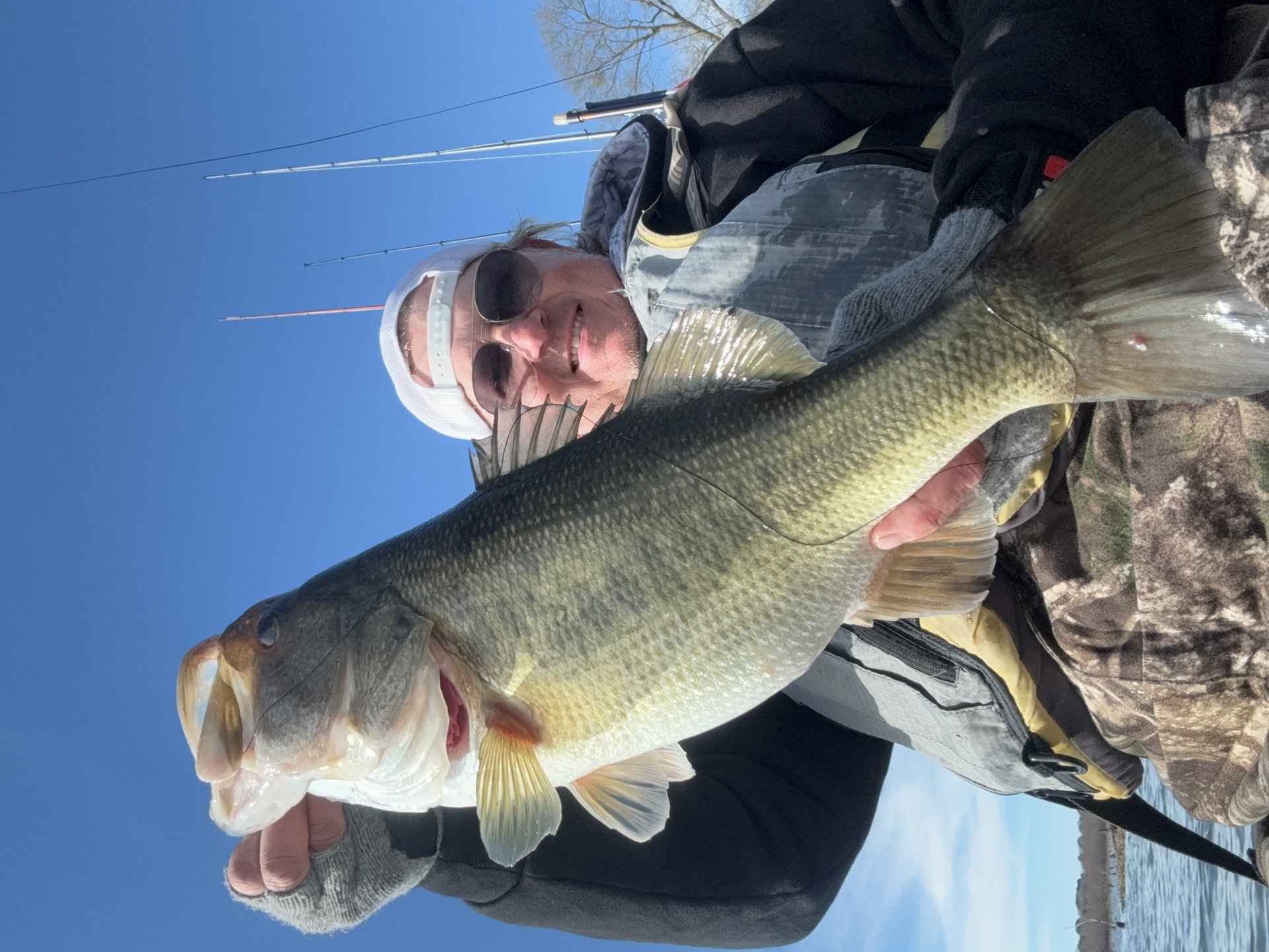 Largemouth Bass