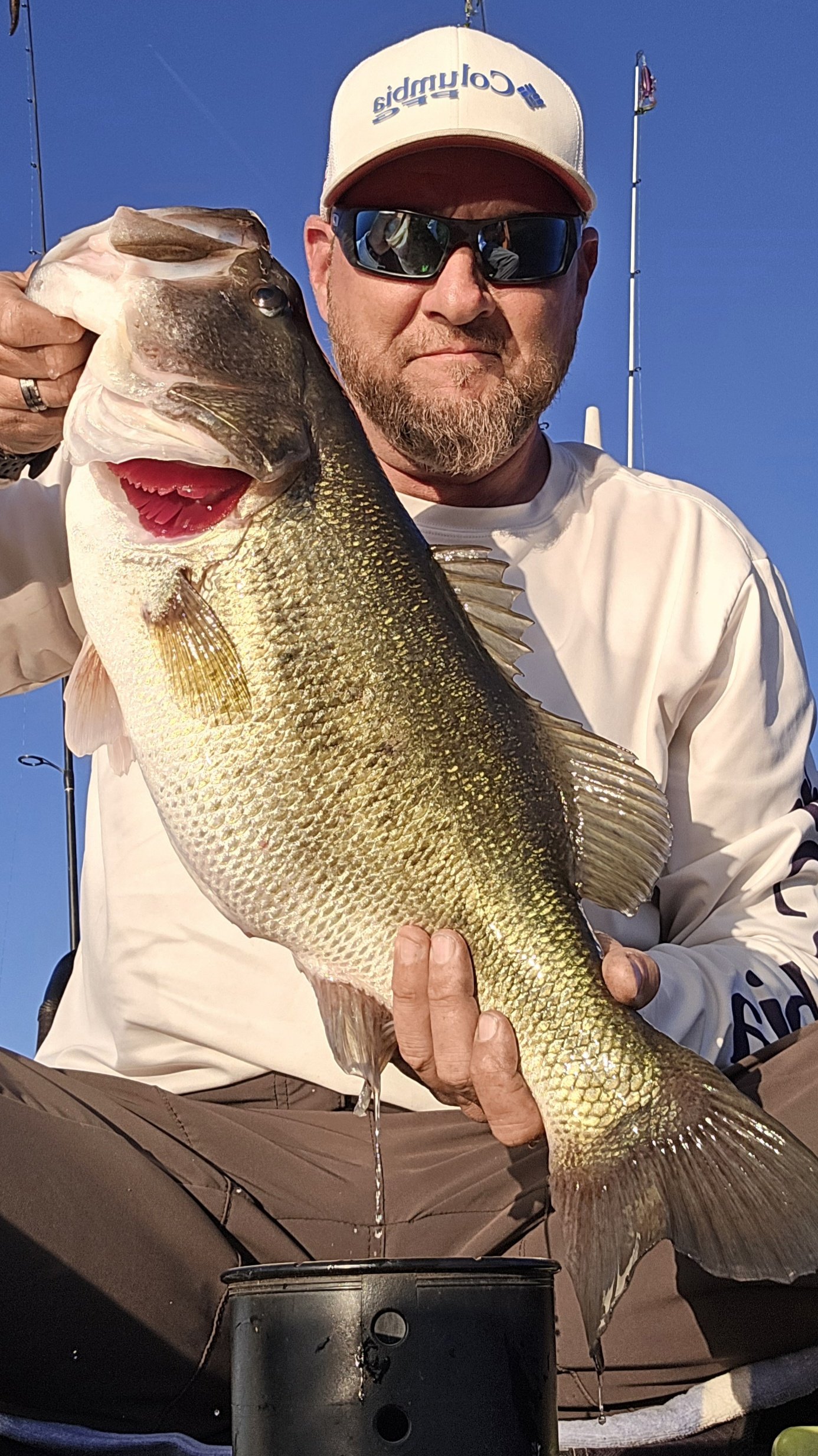Largemouth Bass