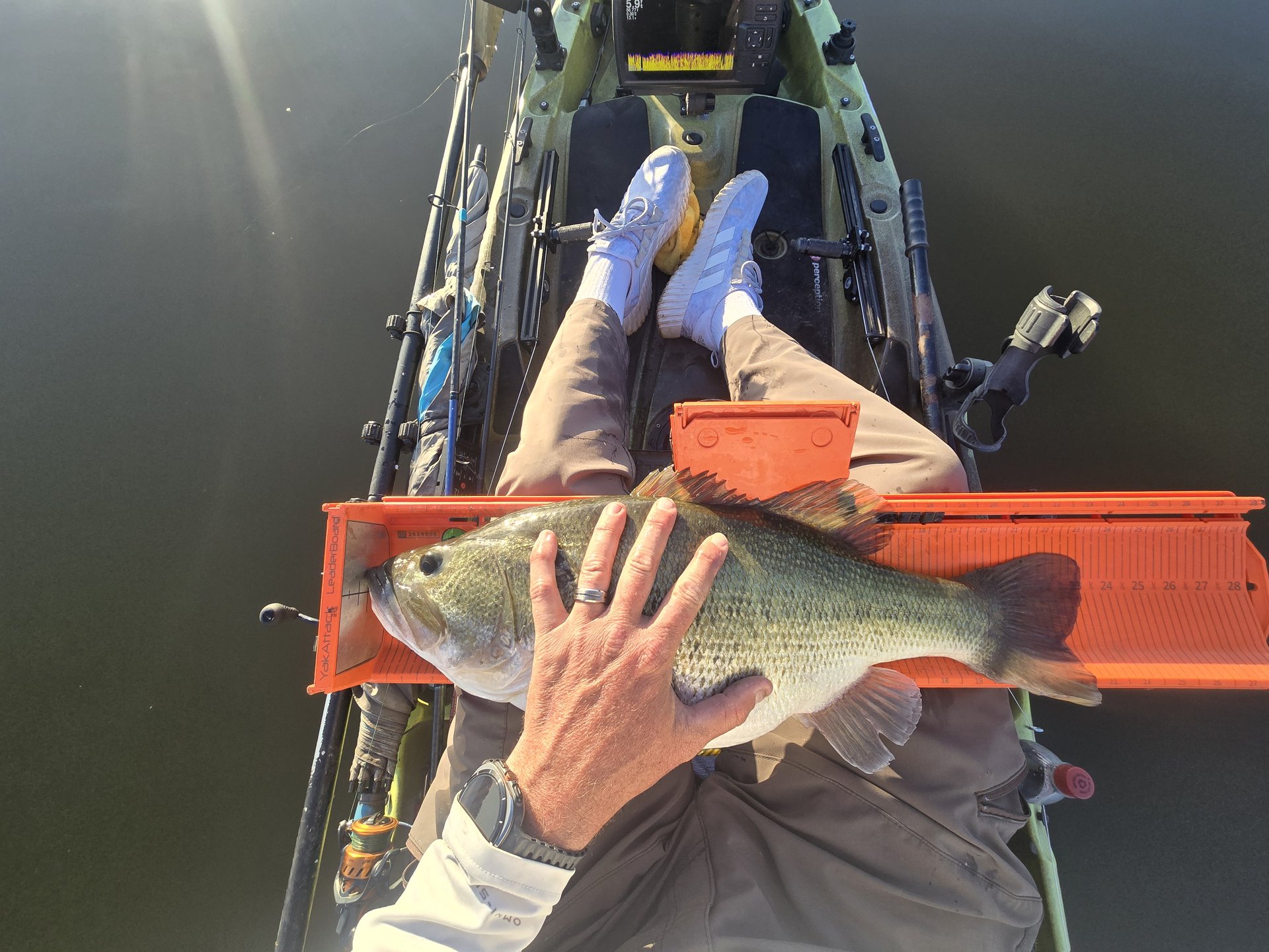 Largemouth Bass