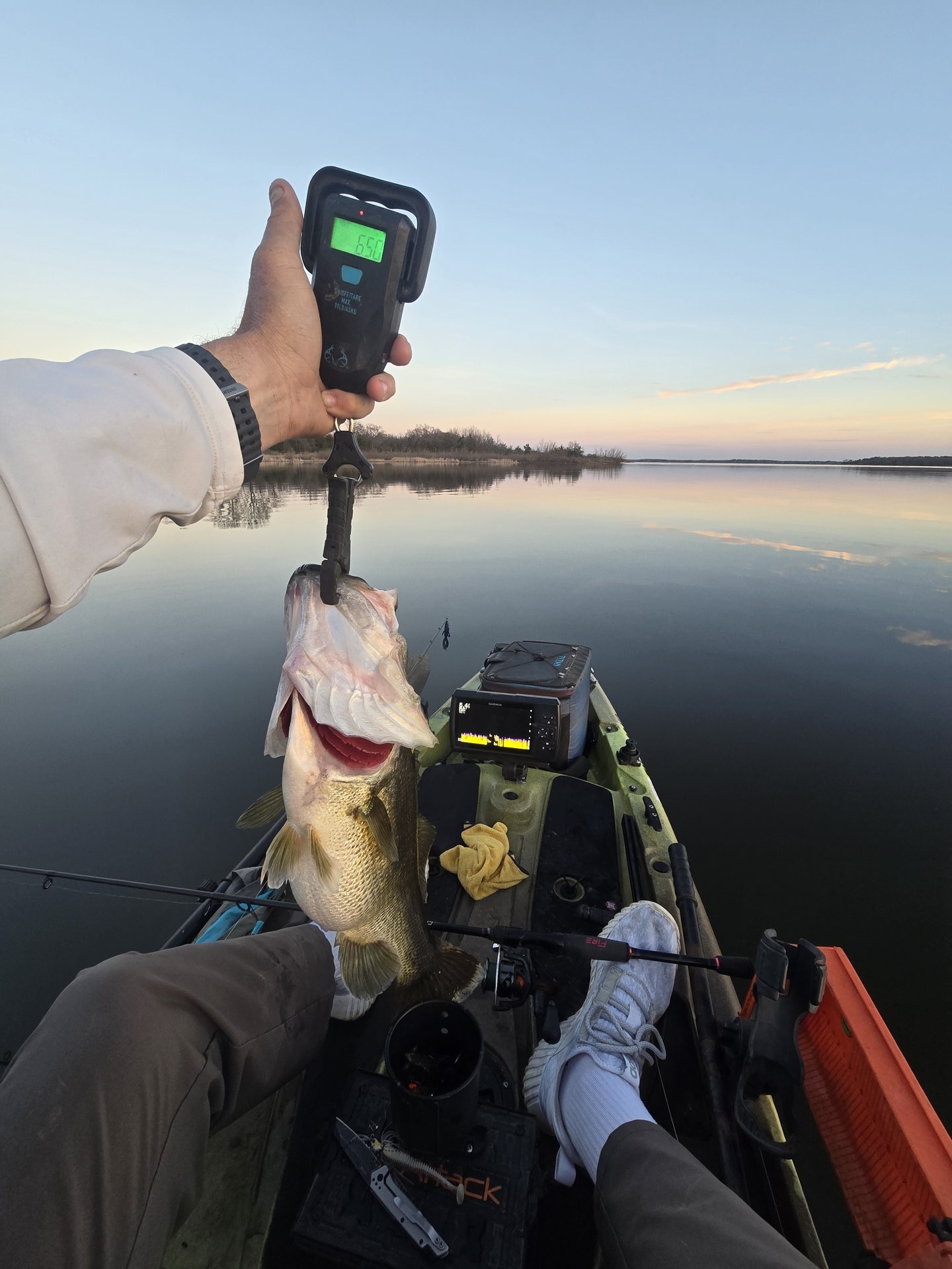 Largemouth Bass