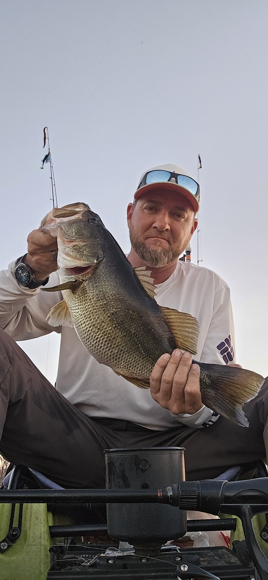 Largemouth Bass