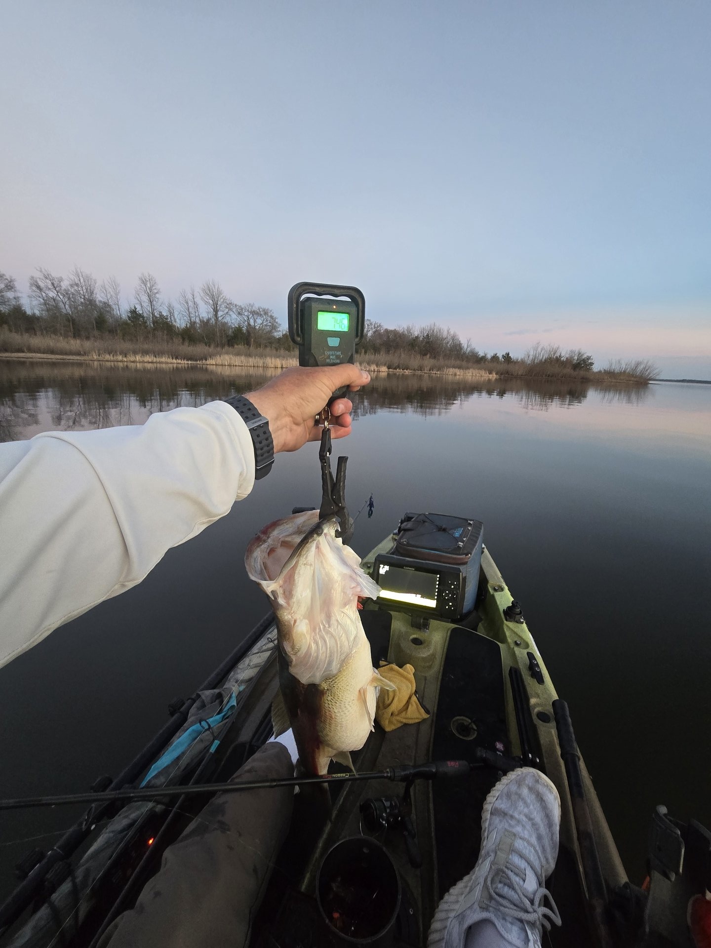 Largemouth Bass