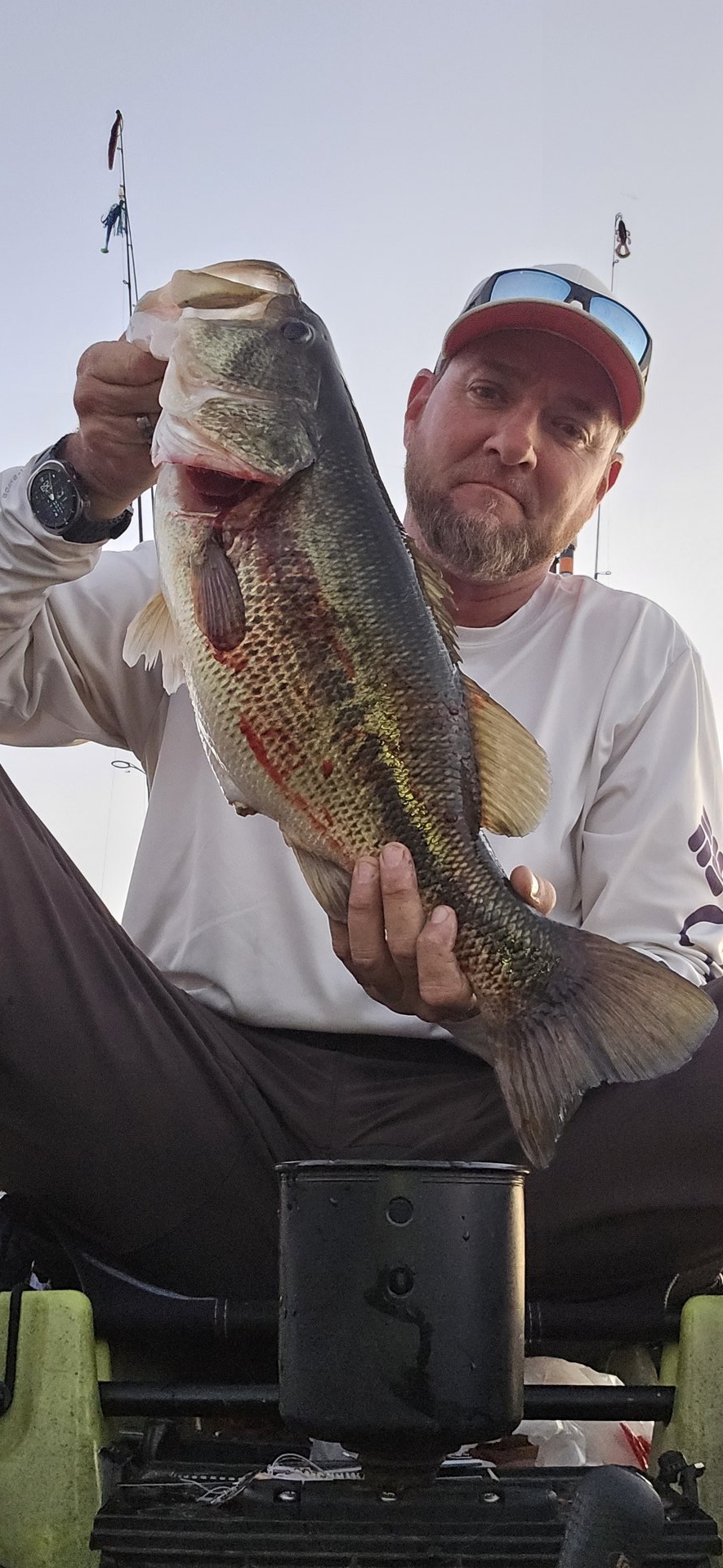 Largemouth Bass