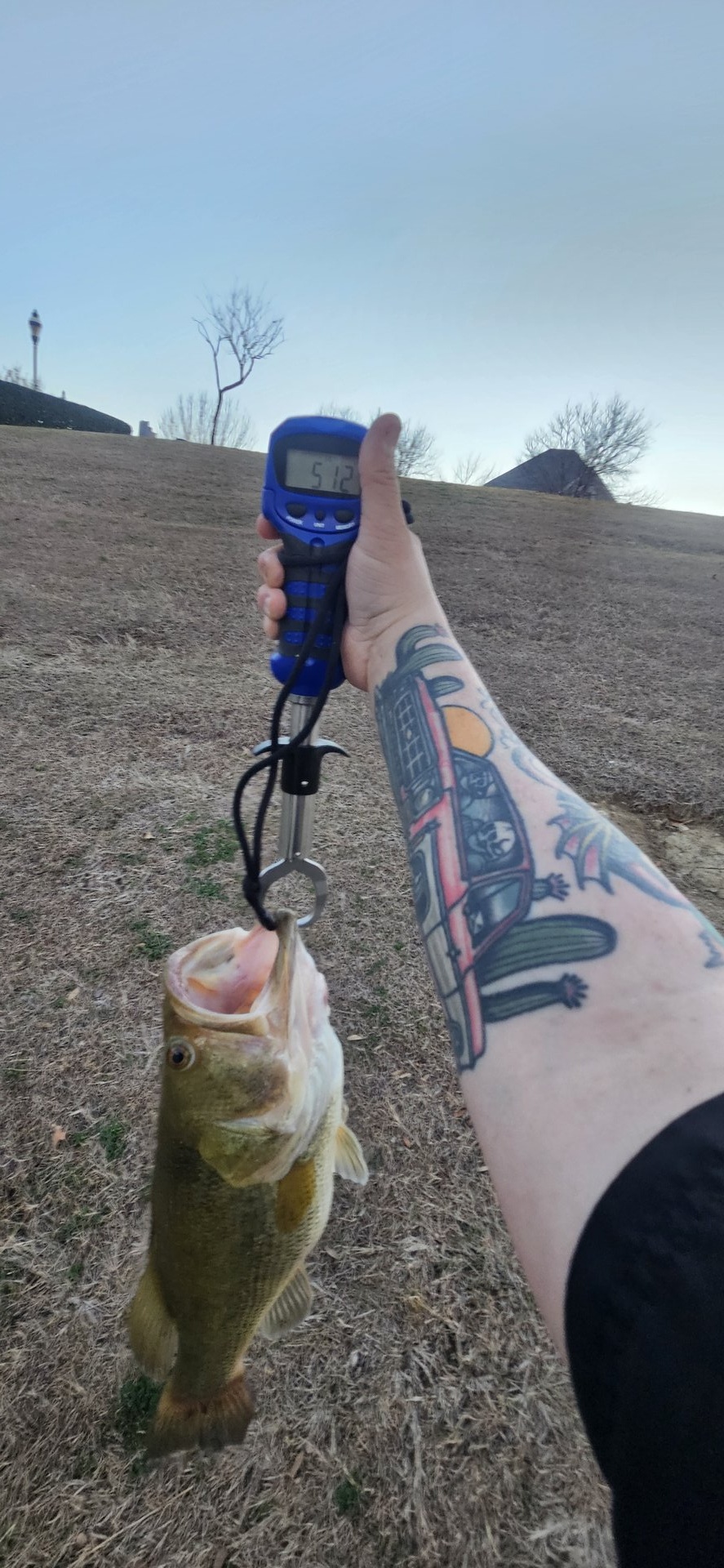 Largemouth Bass