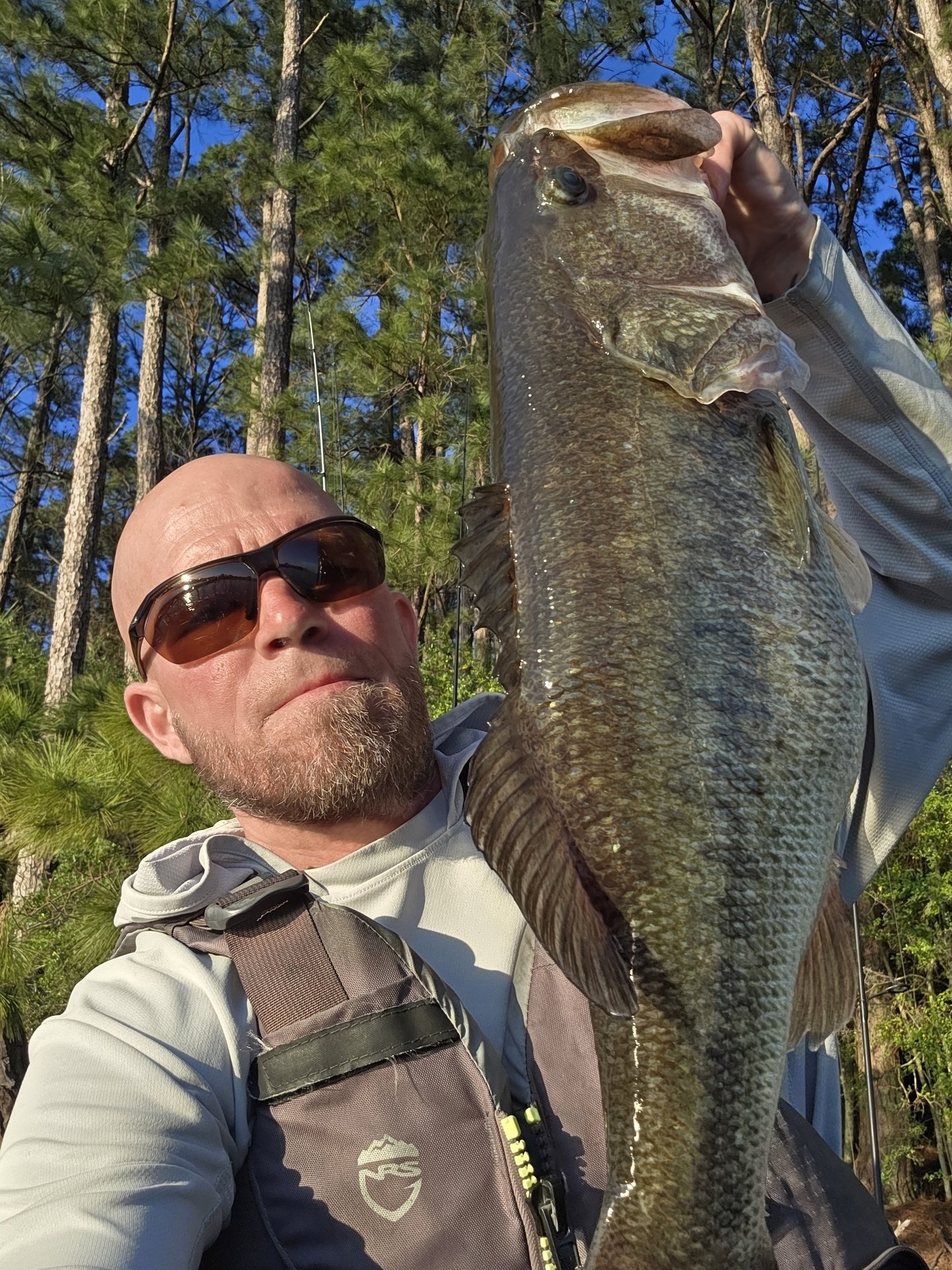 Largemouth Bass
