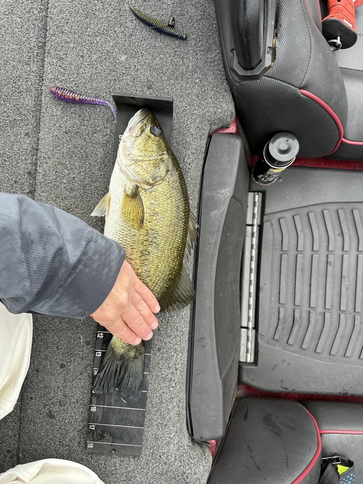 DenaDavisOutdoors · Fish on Measuring Board