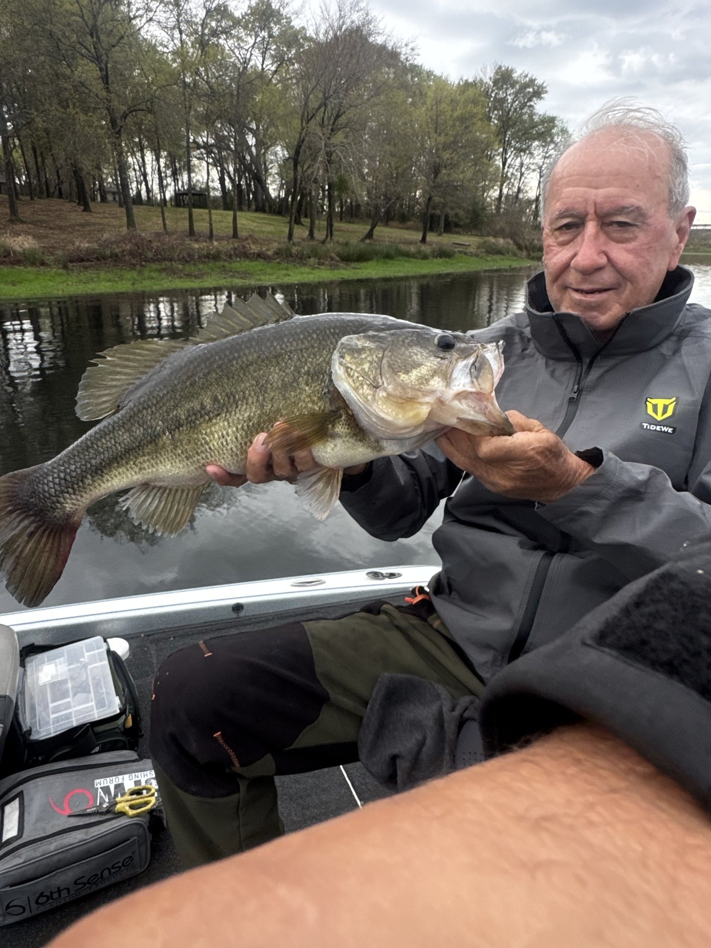 Largemouth Bass