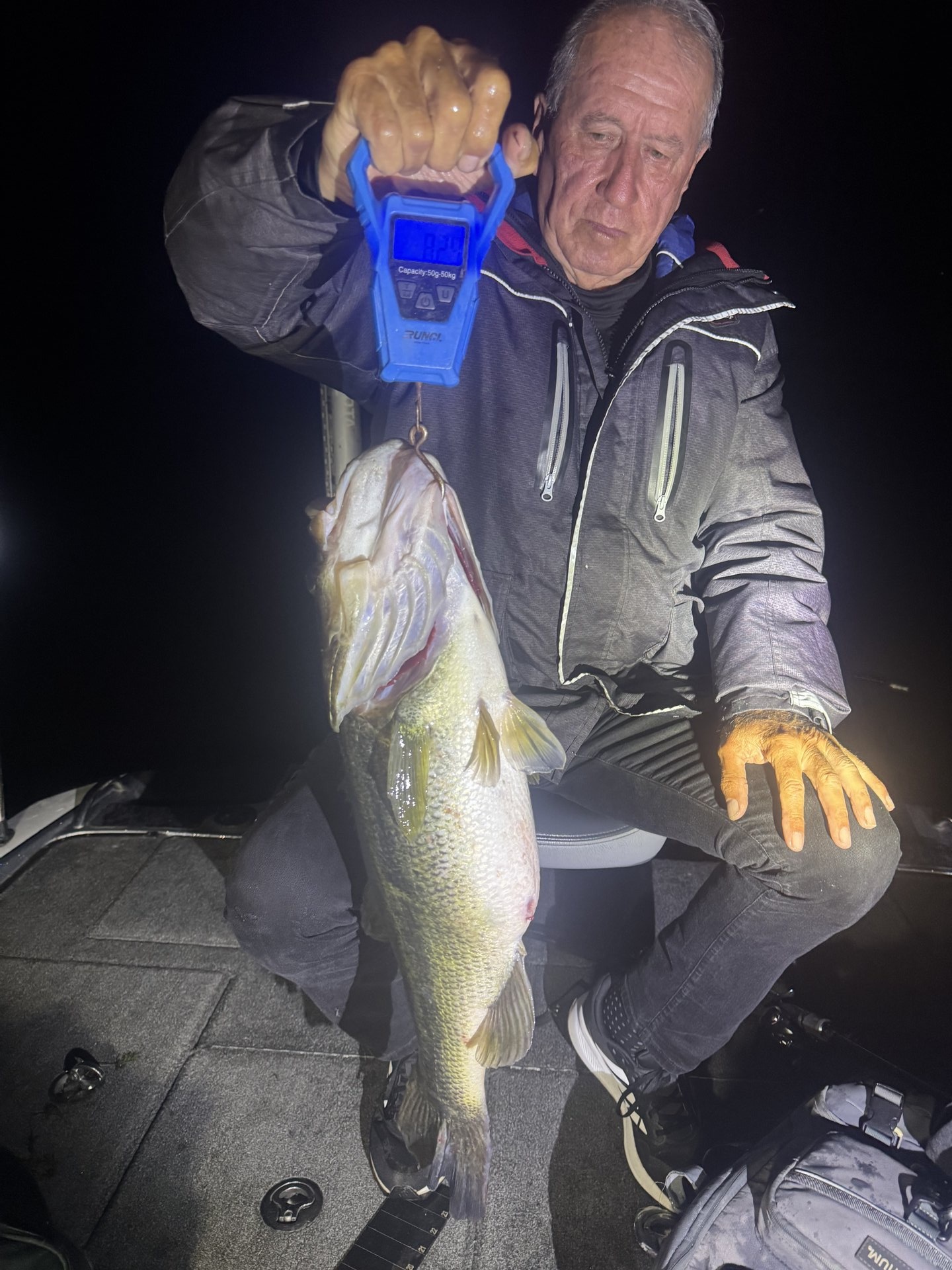 Largemouth Bass