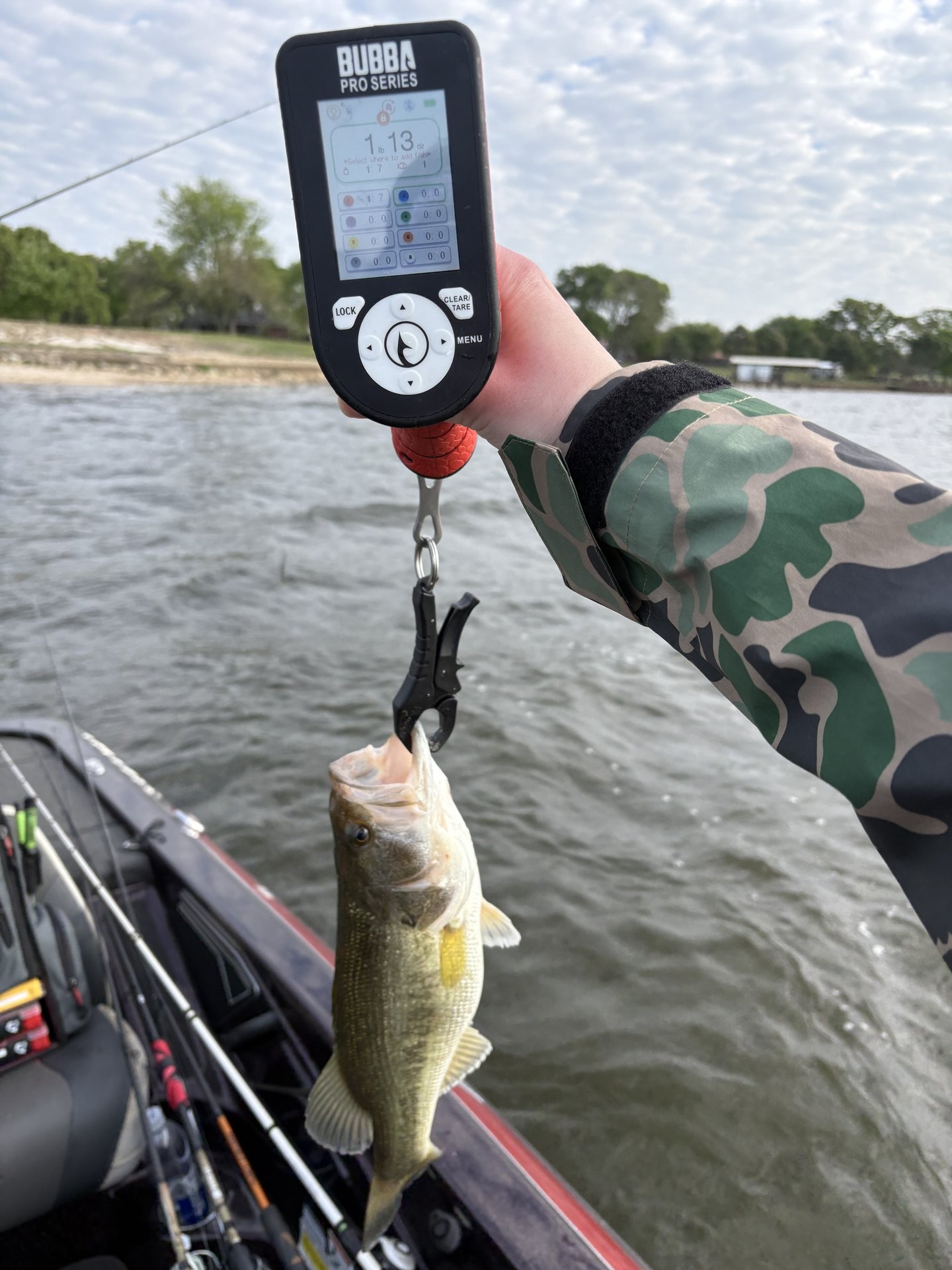 Kristen Everhart · Fish on Scale