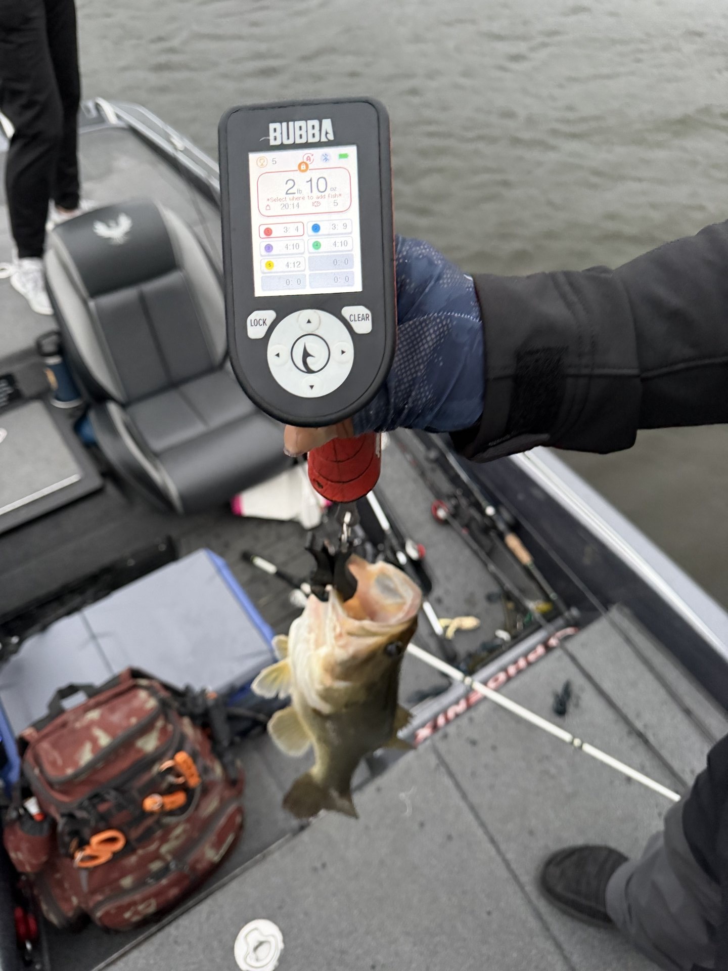 Largemouth Bass catch photo 2