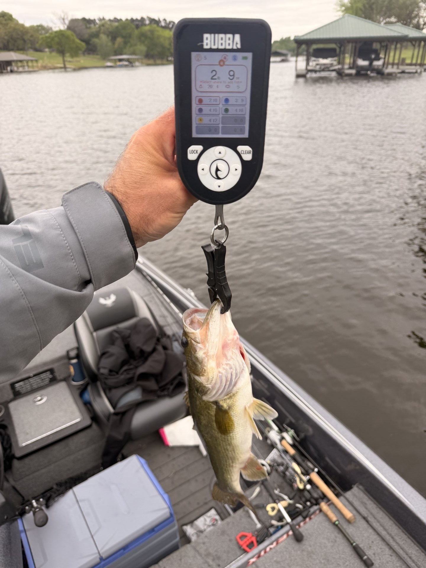 Largemouth Bass catch photo 2