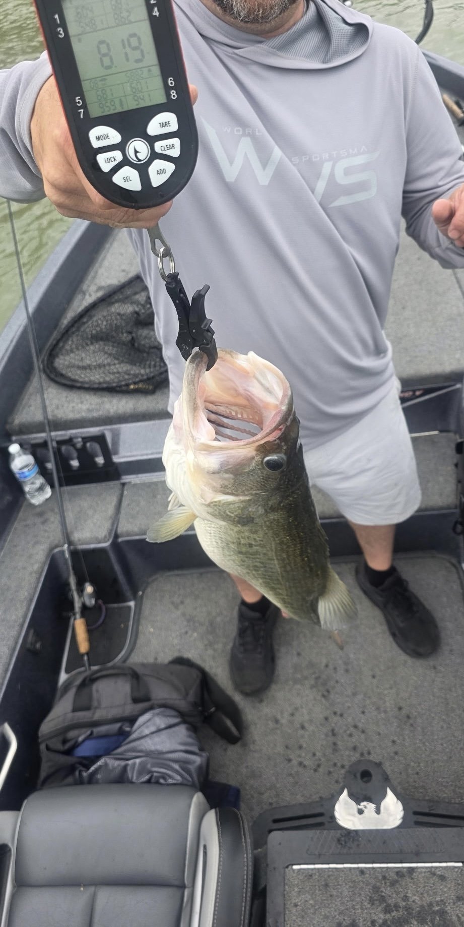 Largemouth Bass