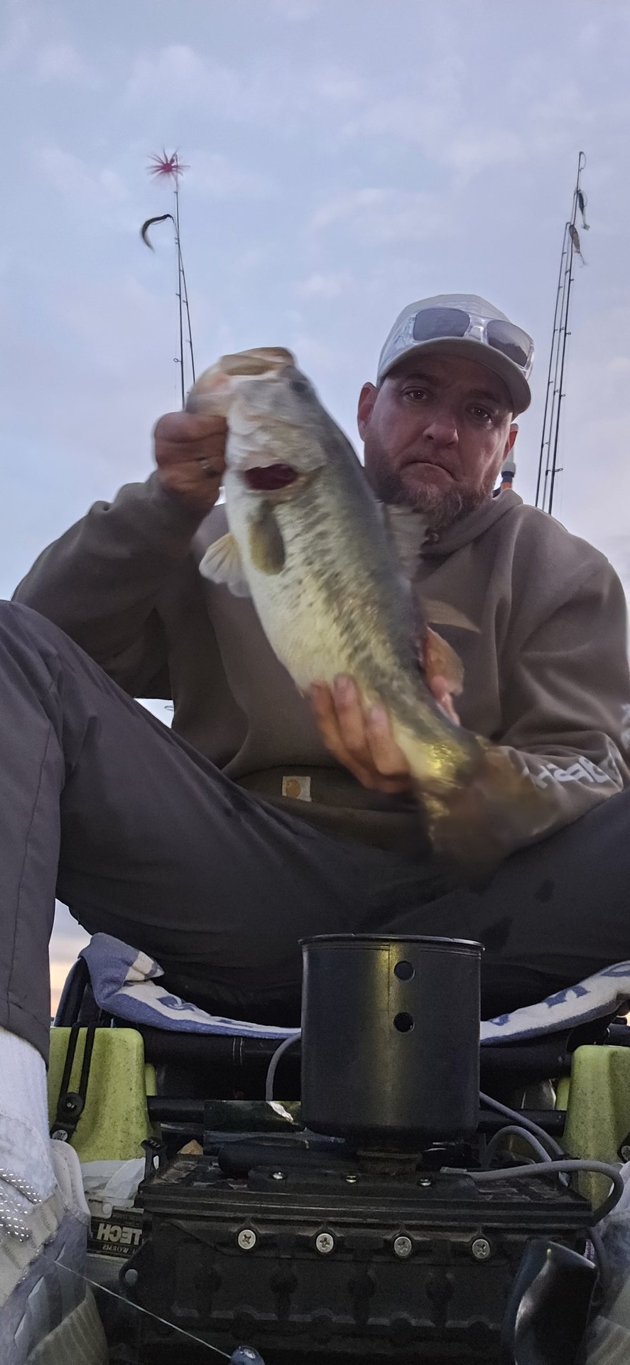 Largemouth Bass