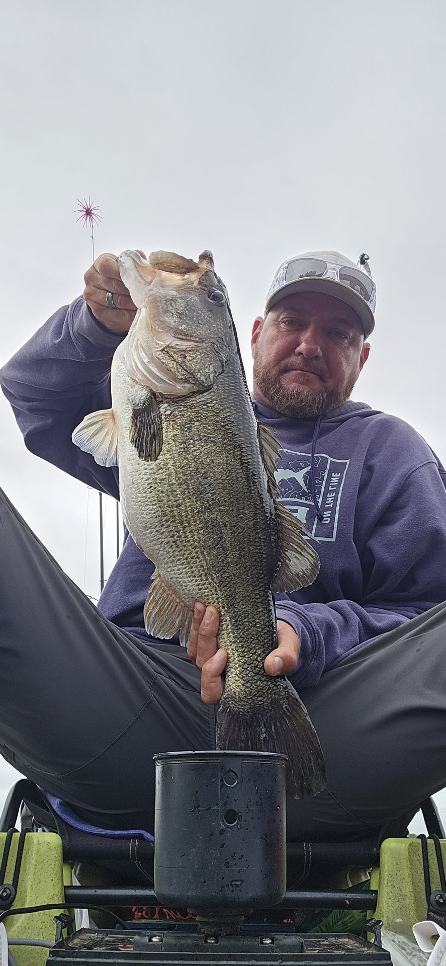 Largemouth Bass