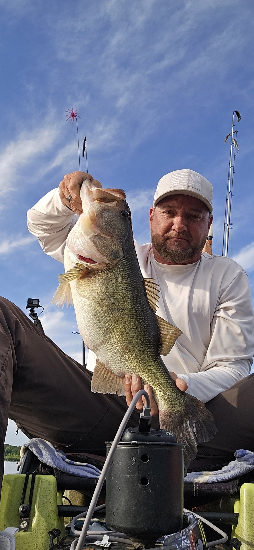 Largemouth Bass