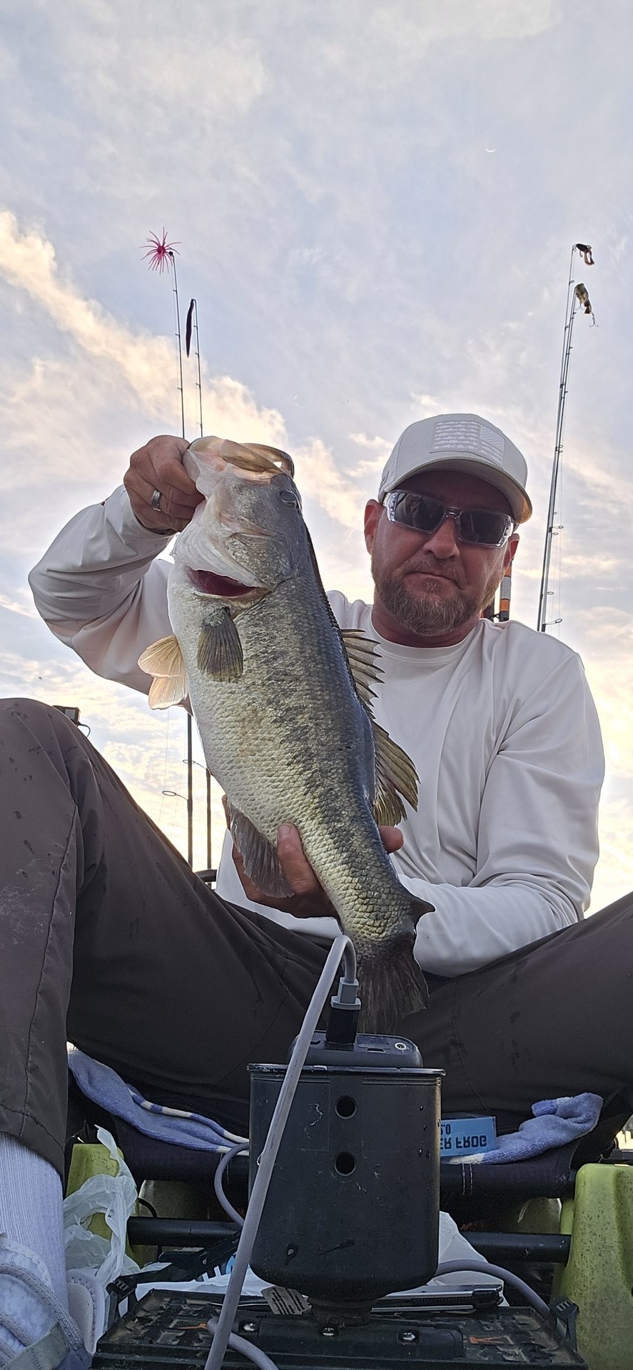 Largemouth Bass