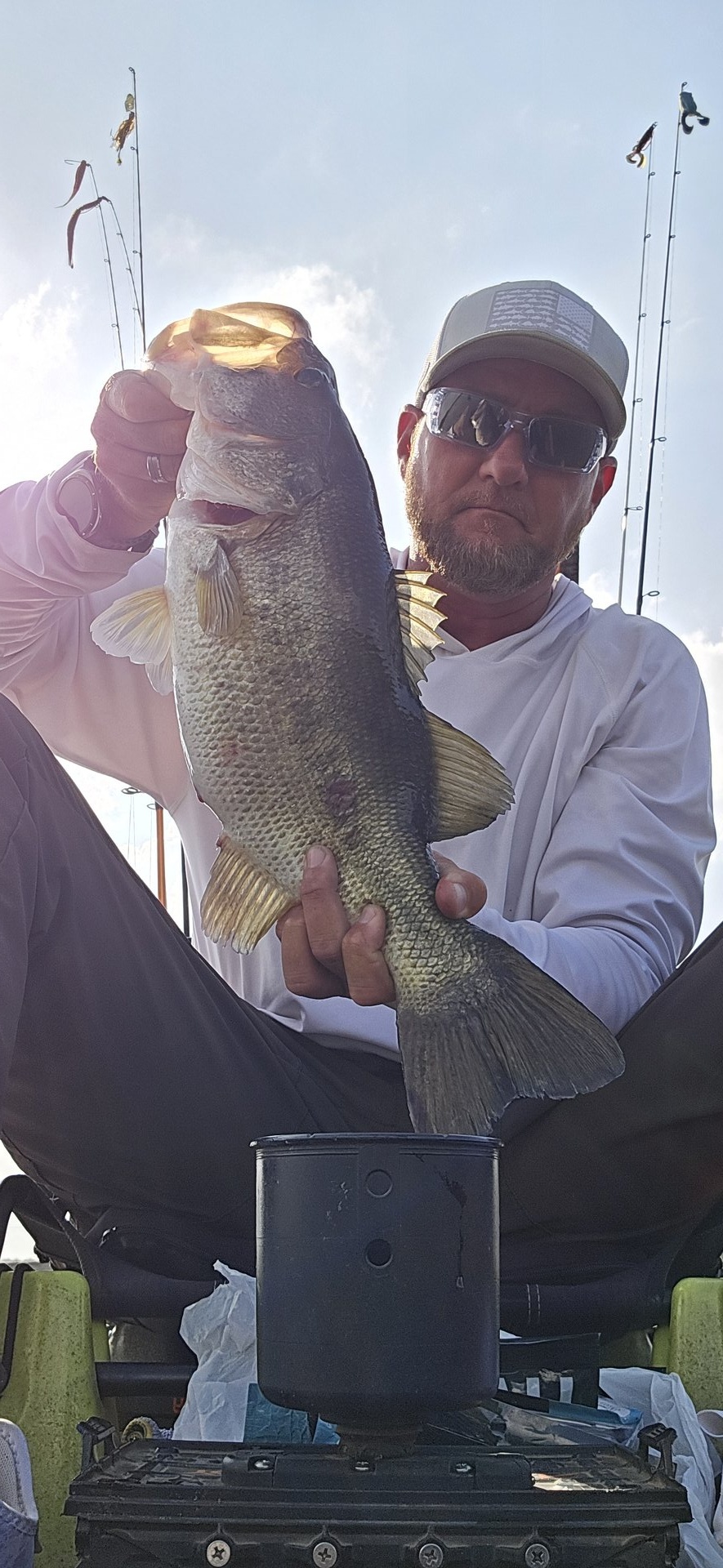 Largemouth Bass