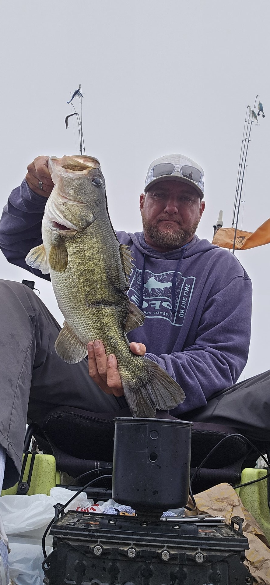 Largemouth Bass