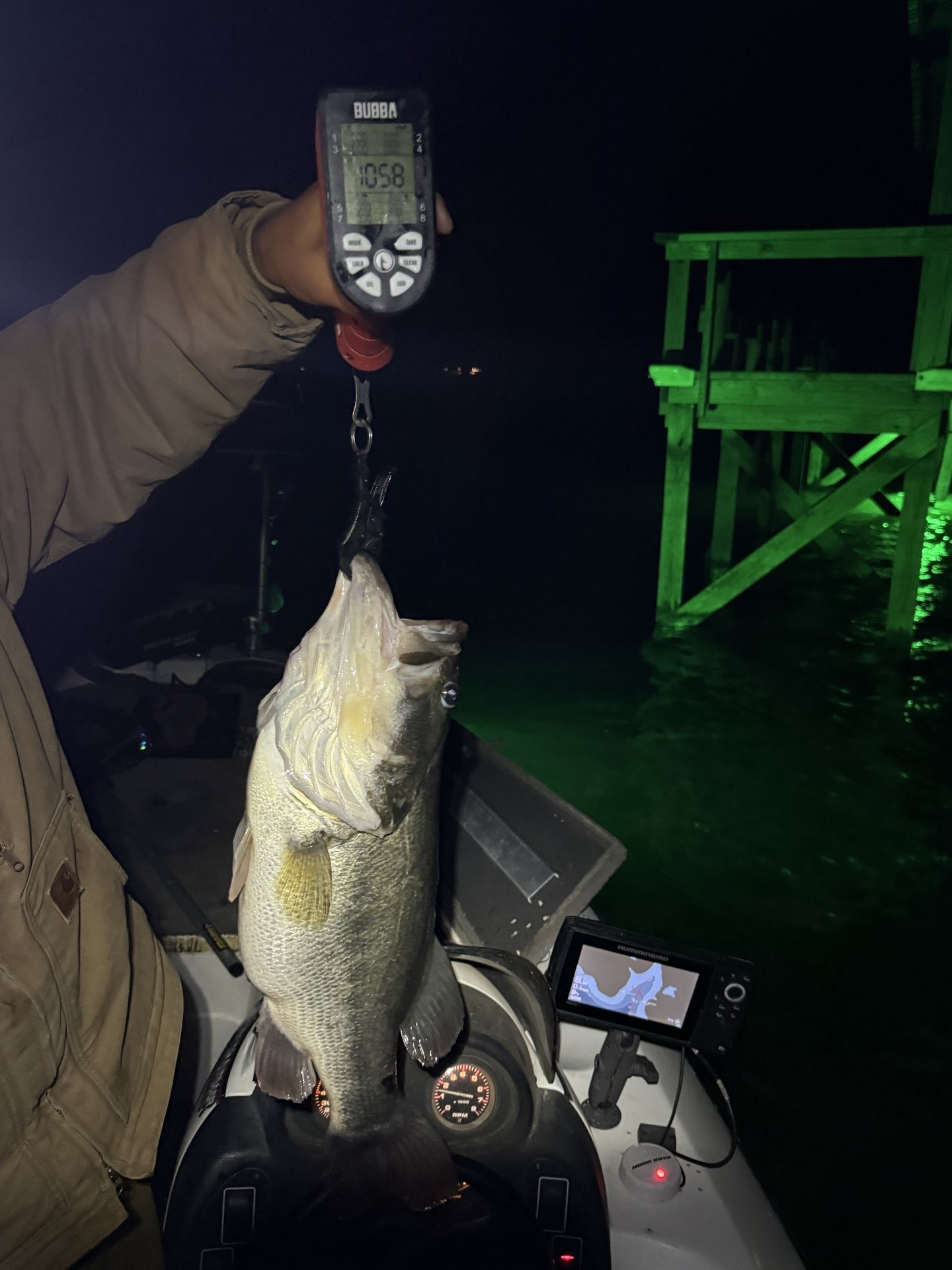 Largemouth Bass