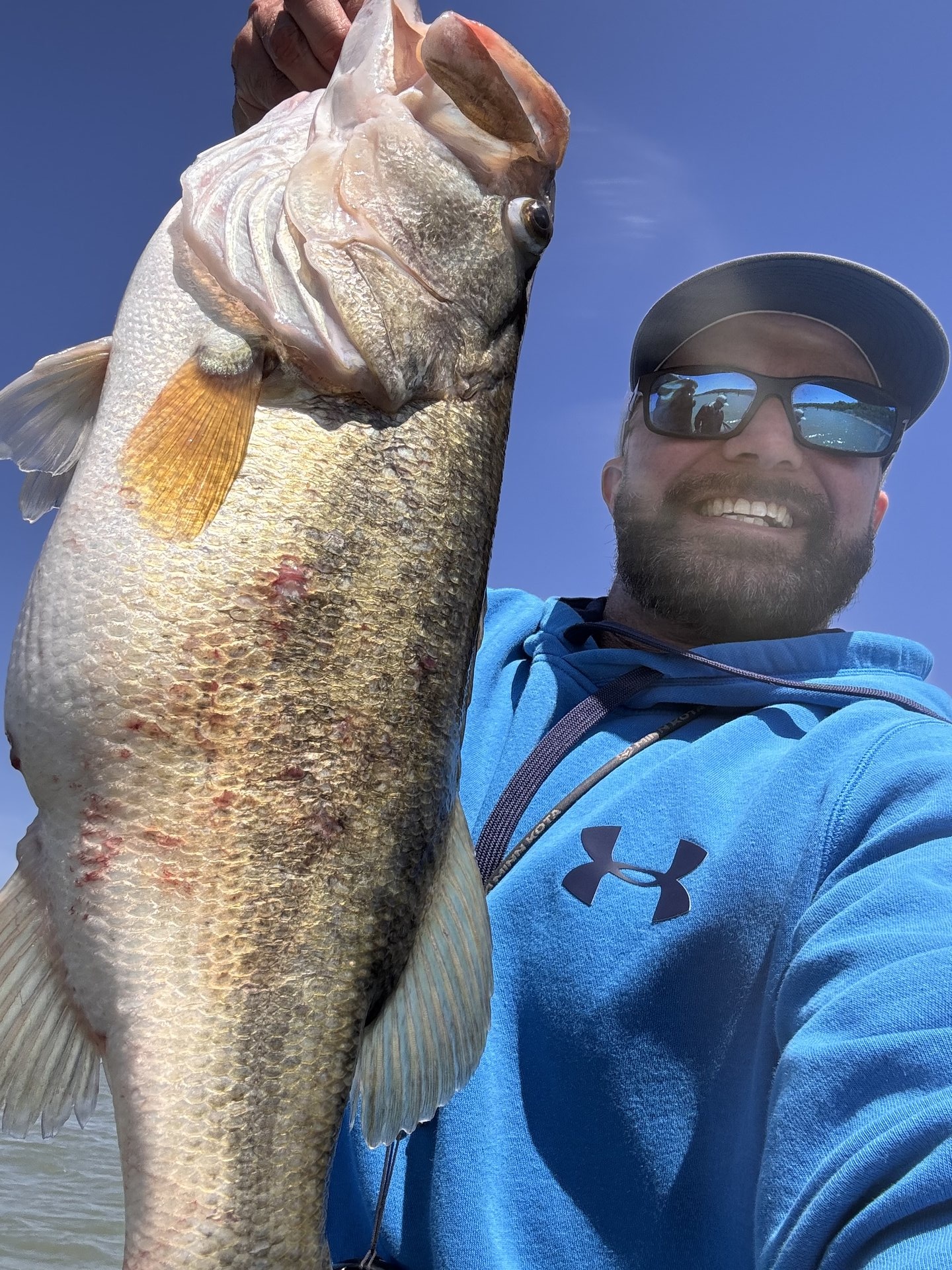 Largemouth Bass